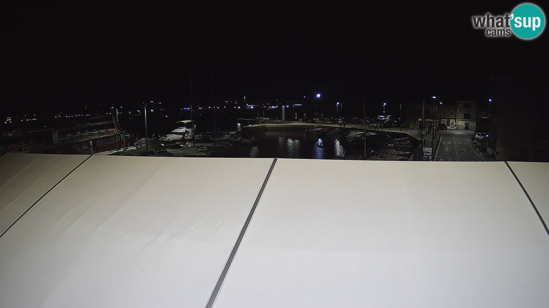 Novigrad | Porporela marina