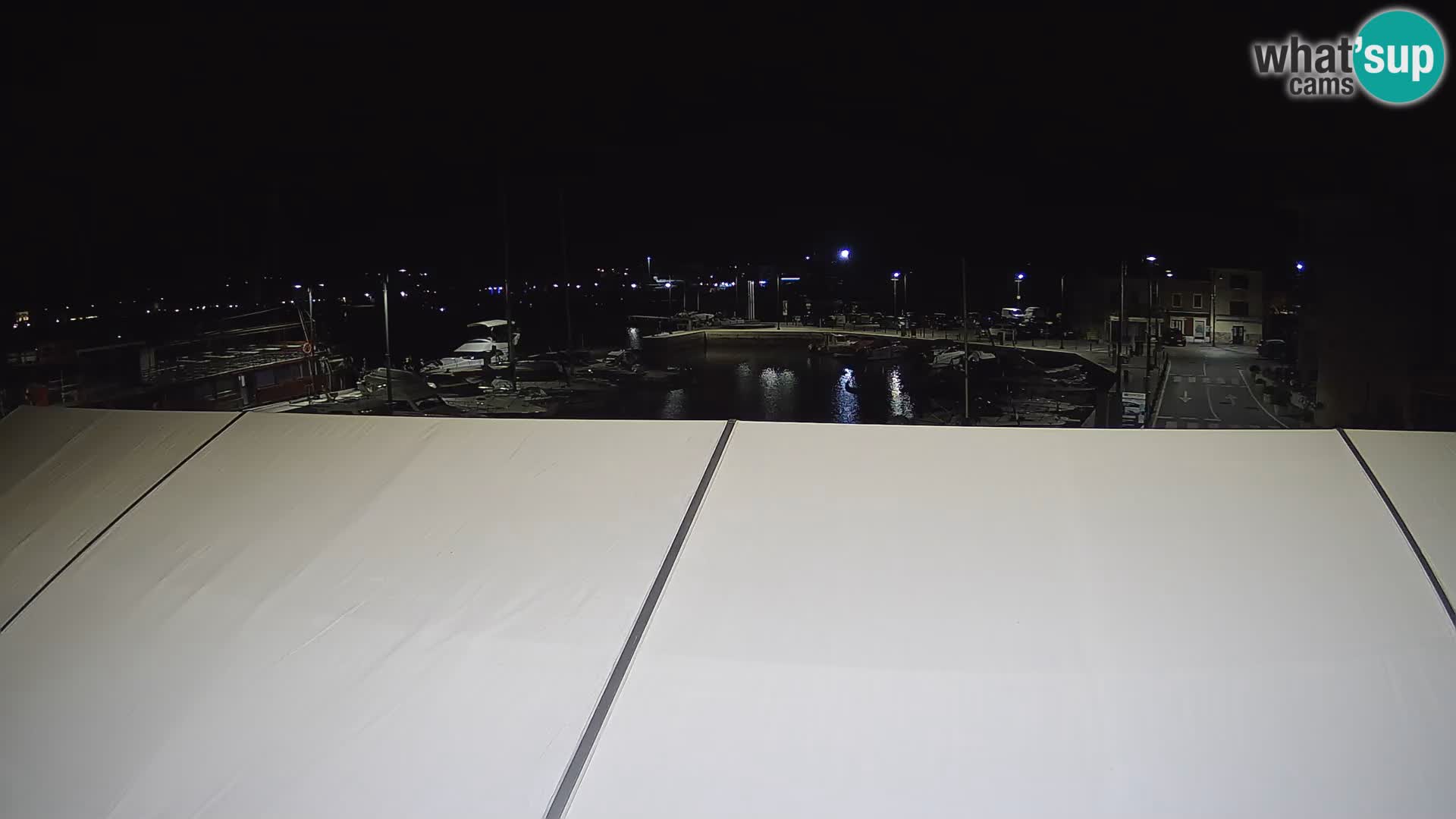 Novigrad | Porporela marina