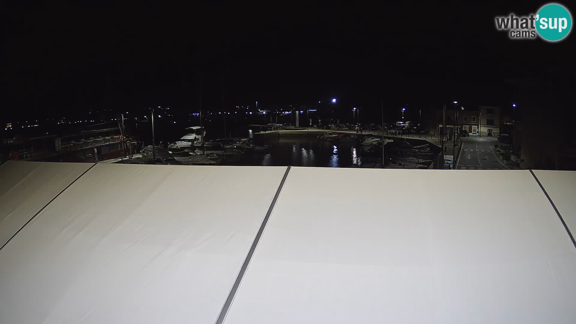 Novigrad | Porporela marina