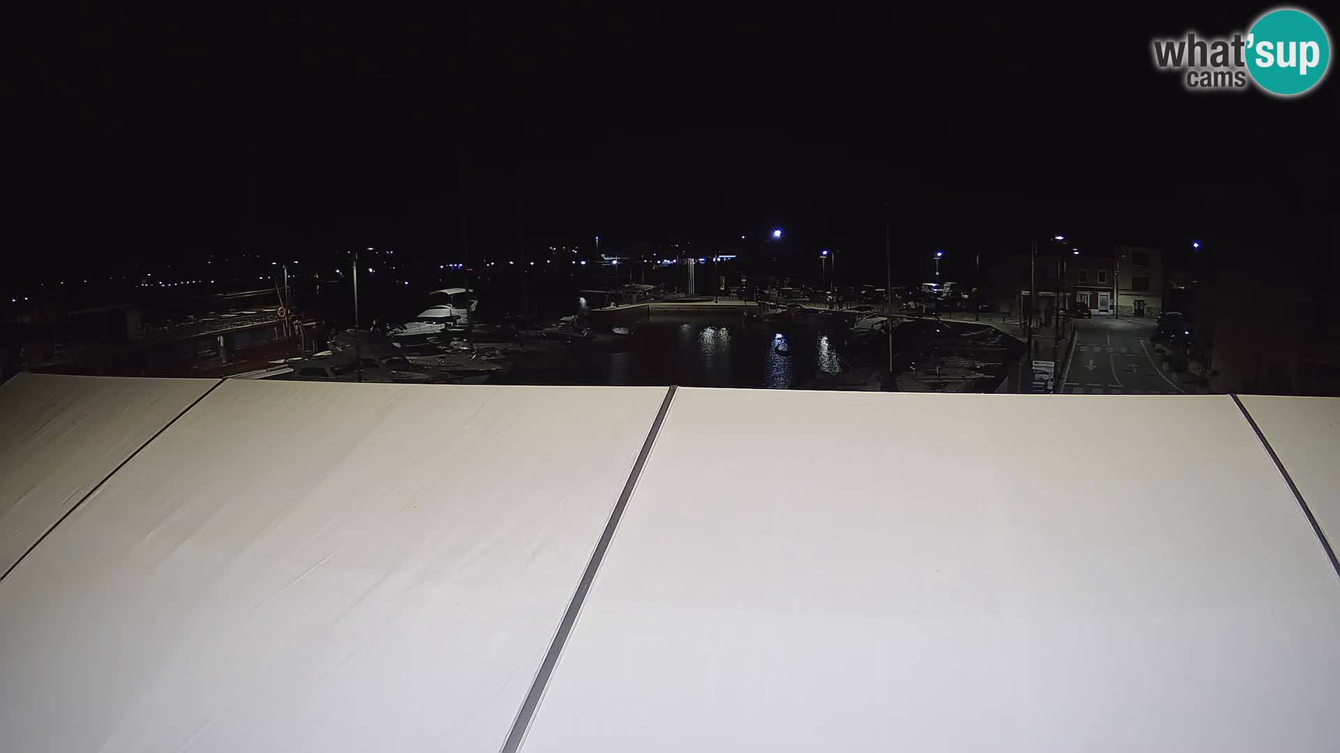 Novigrad | Porporela marina