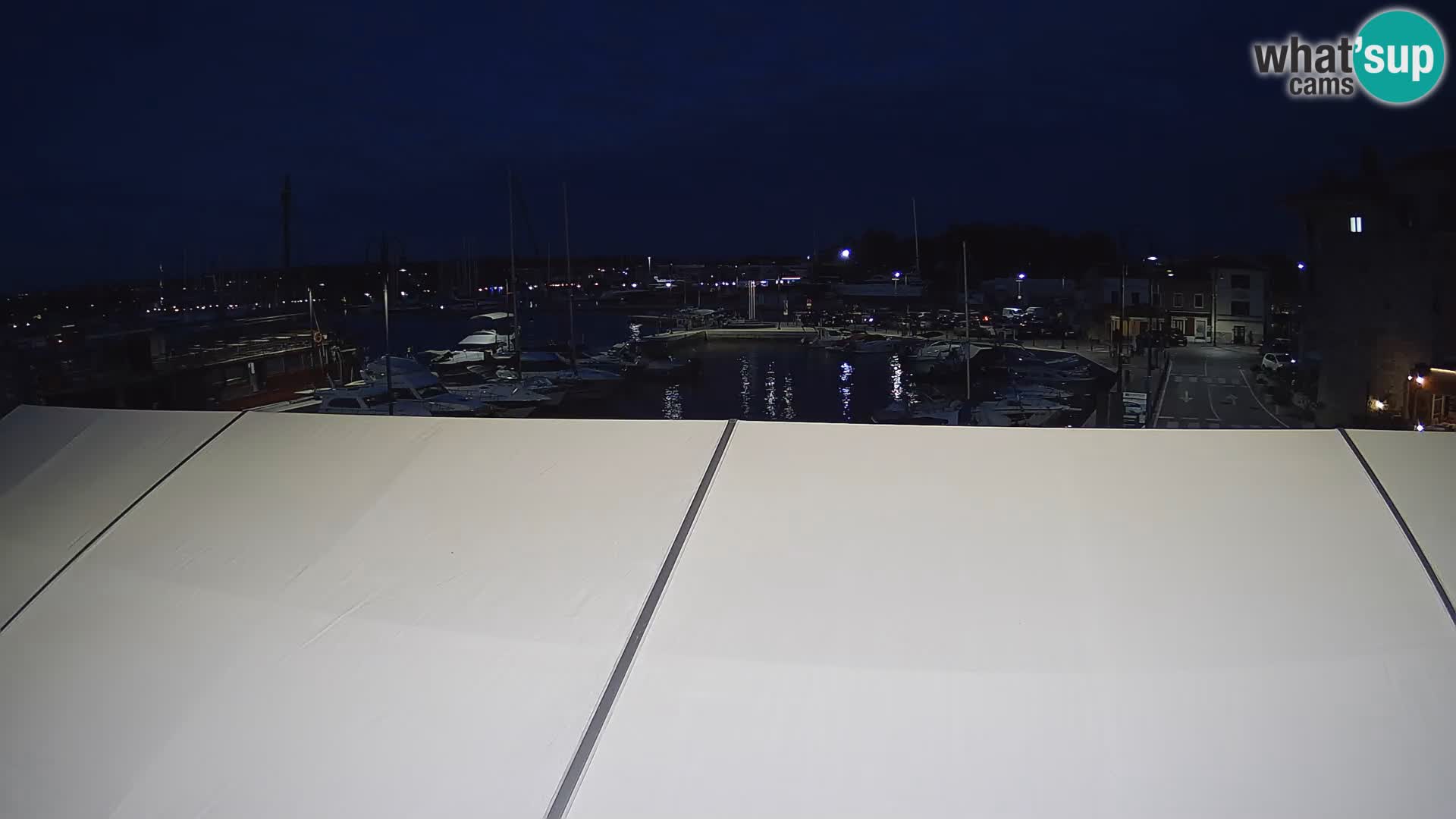 Novigrad | Porporela marina