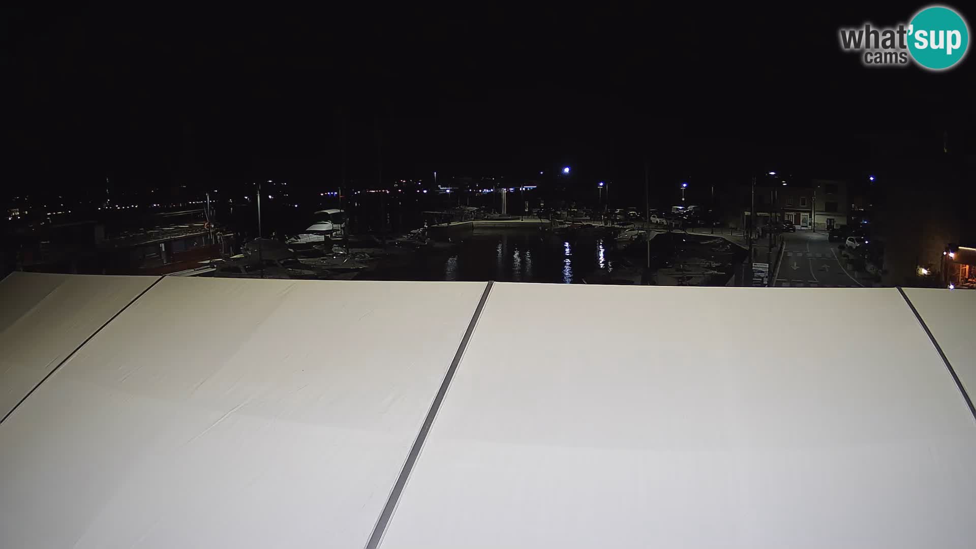 Novigrad | Porporela marina