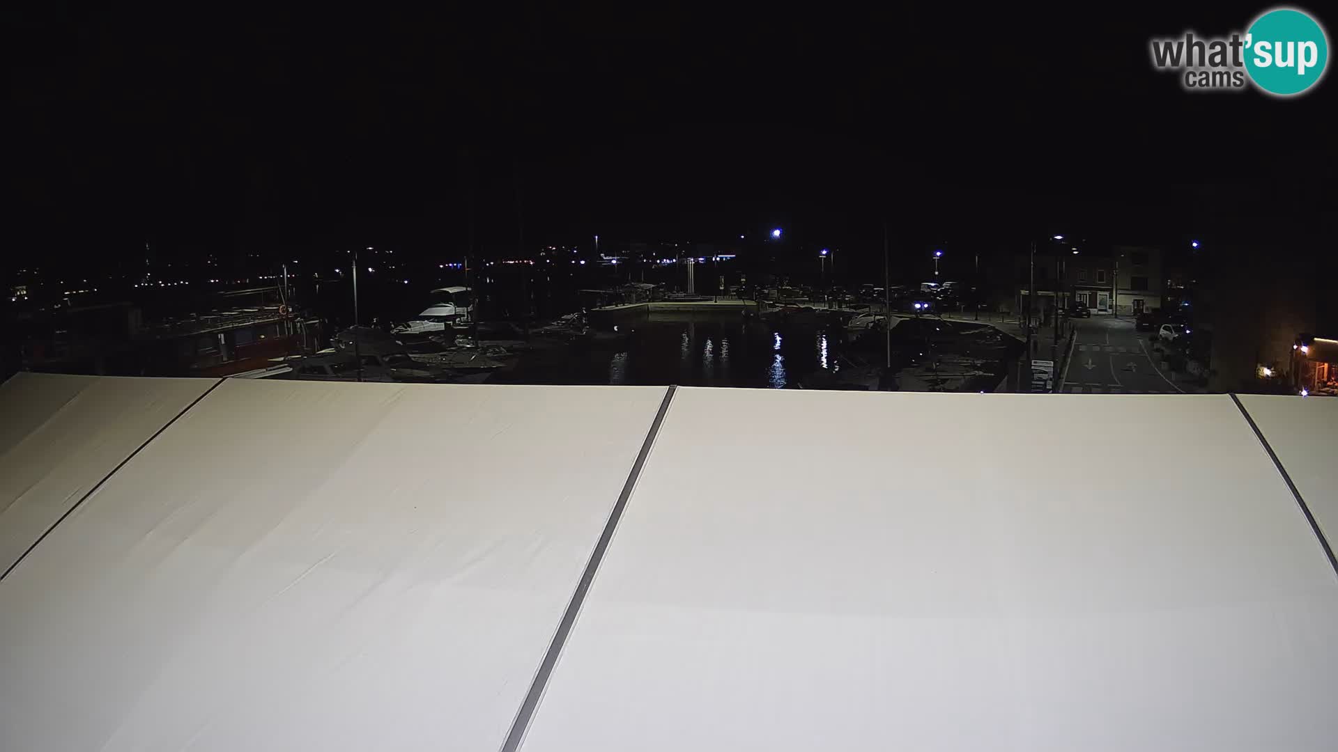 Novigrad | Porporela marina