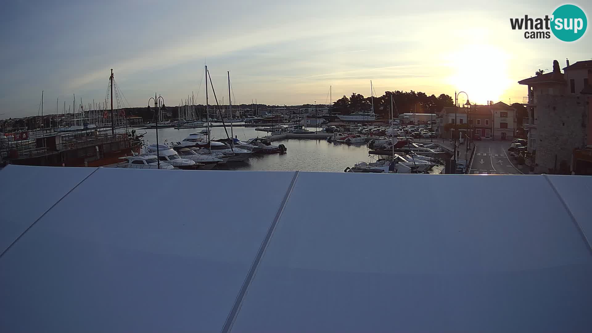Novigrad | Porporela marina