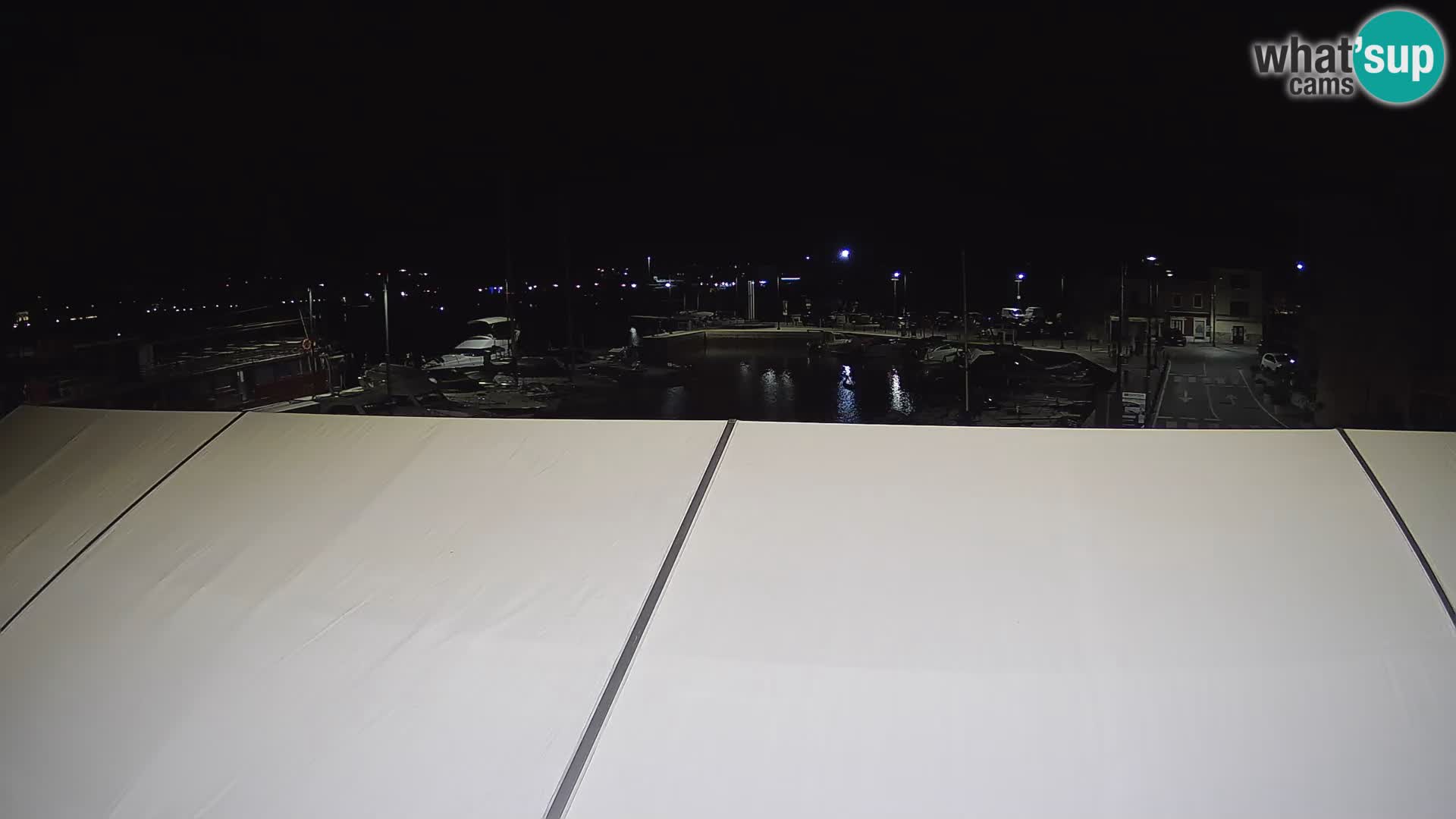 Novigrad | Porporela marina