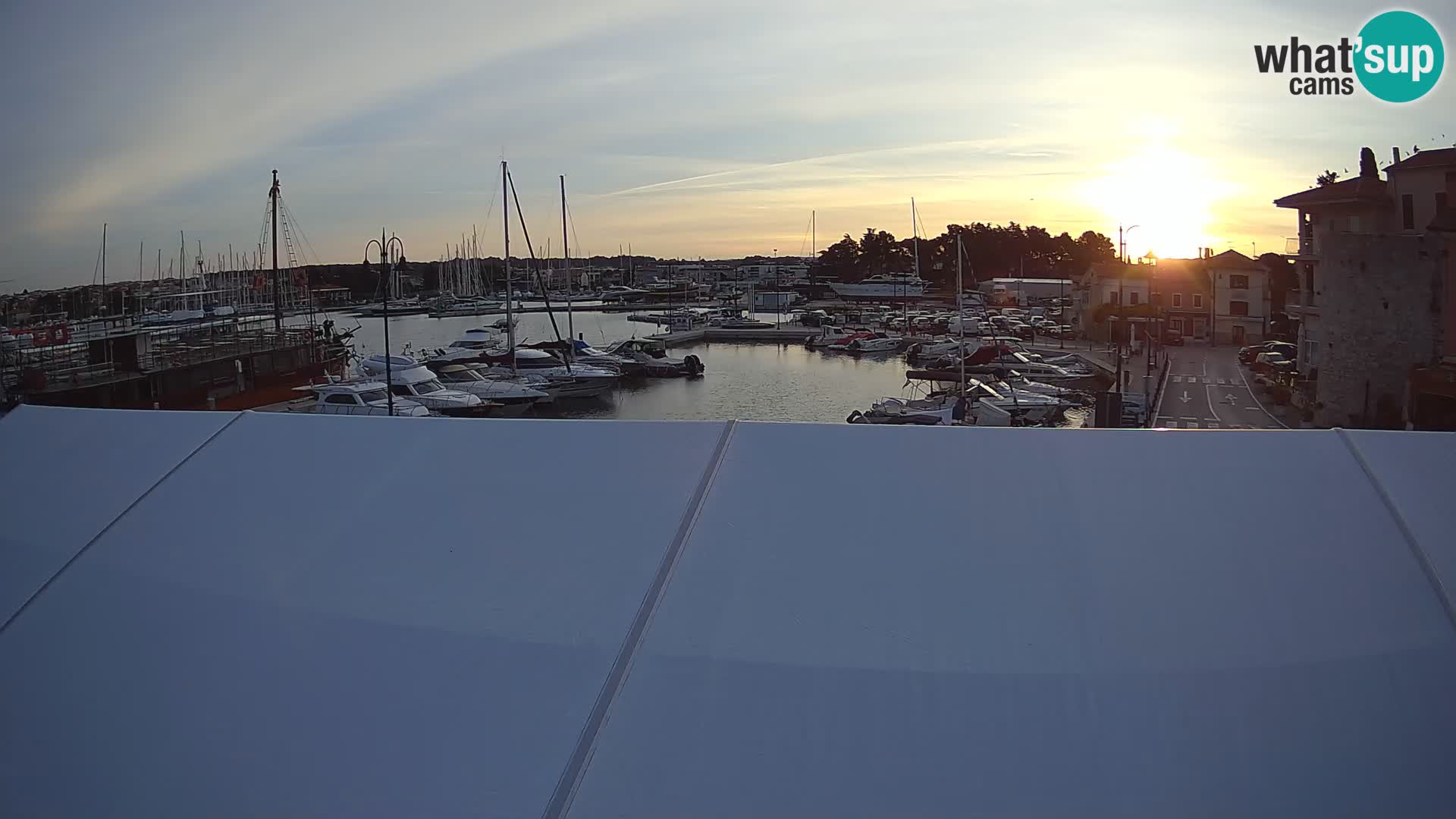 Novigrad | Porporela marina