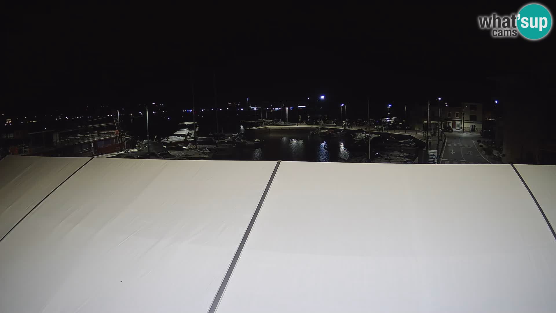 Novigrad | Porporela marina