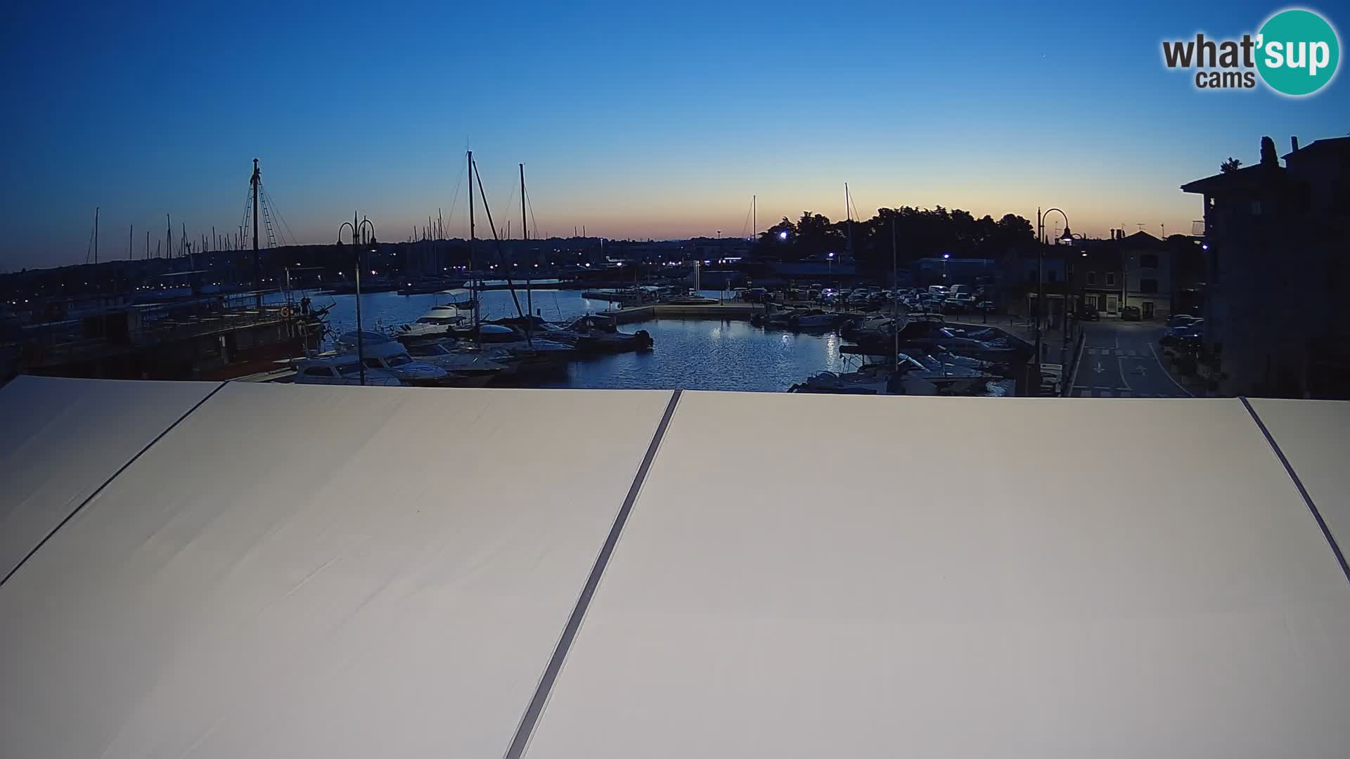 Novigrad | Porporela marina