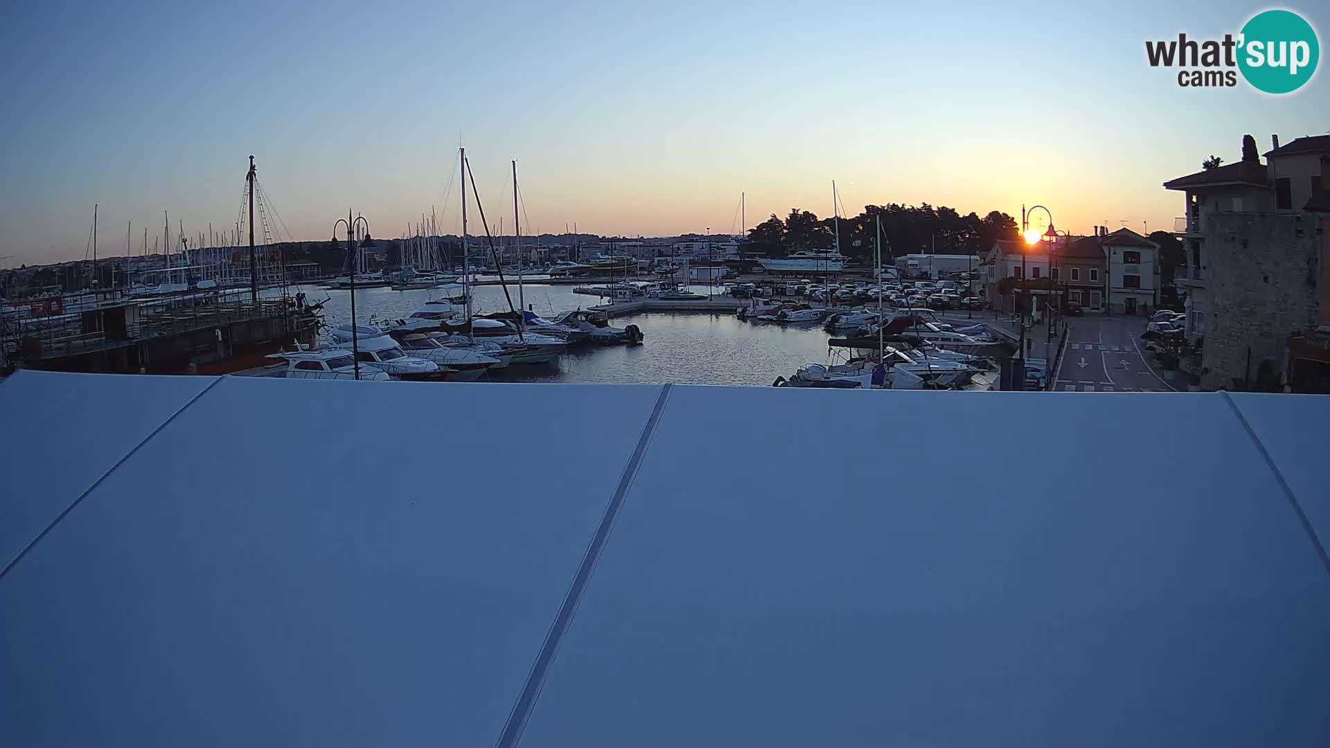 Novigrad | Porporela marina