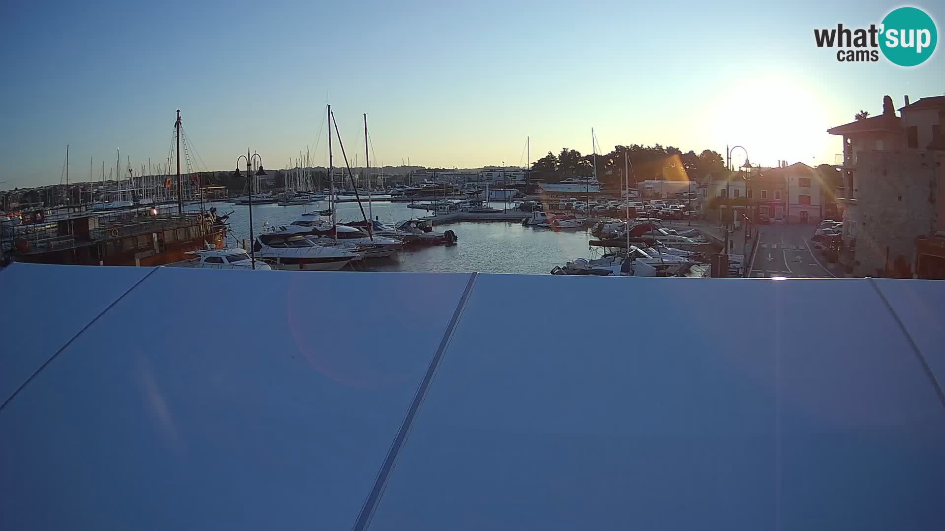 Novigrad | Porporela marina