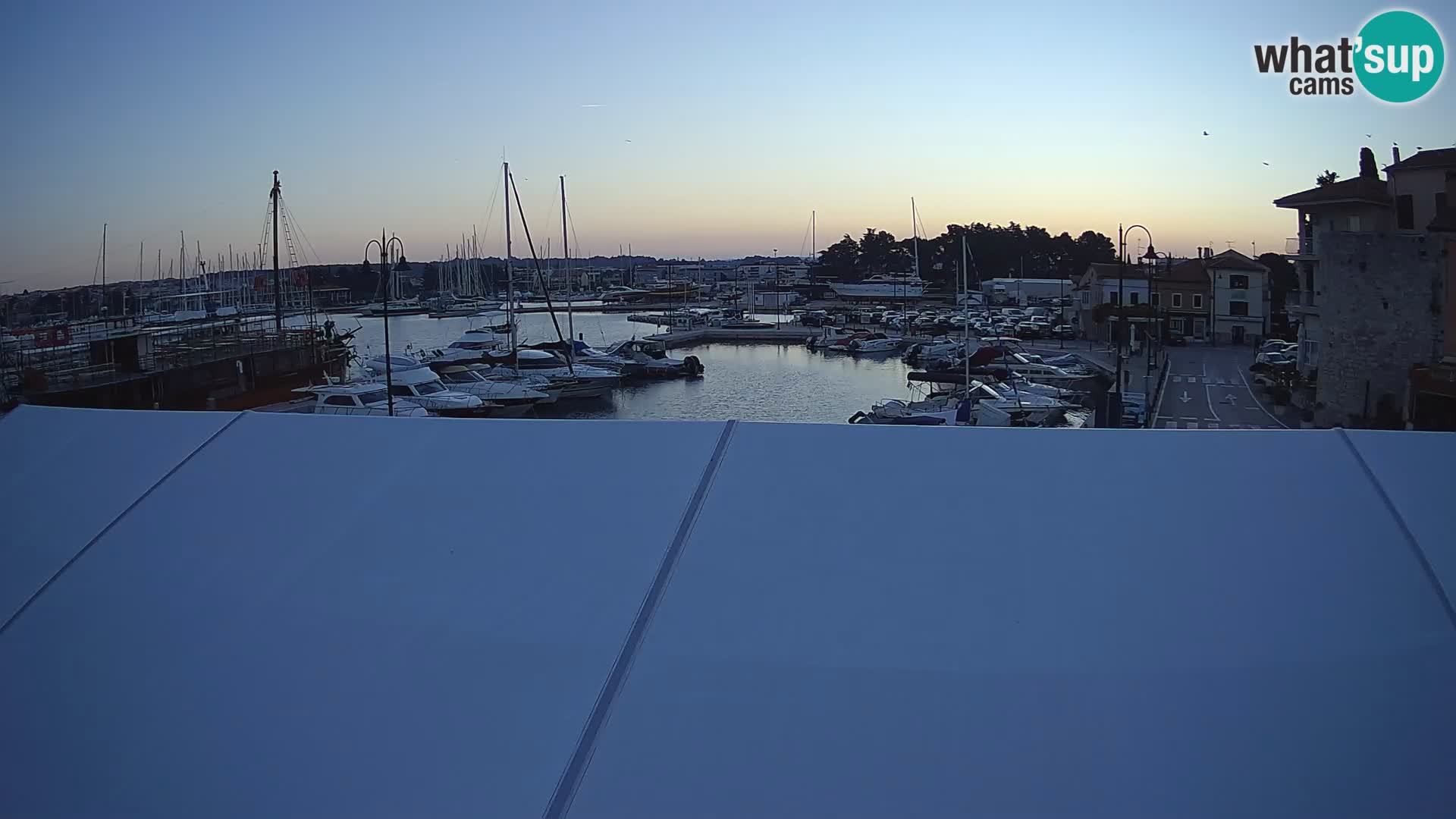 Novigrad | Porporela marina