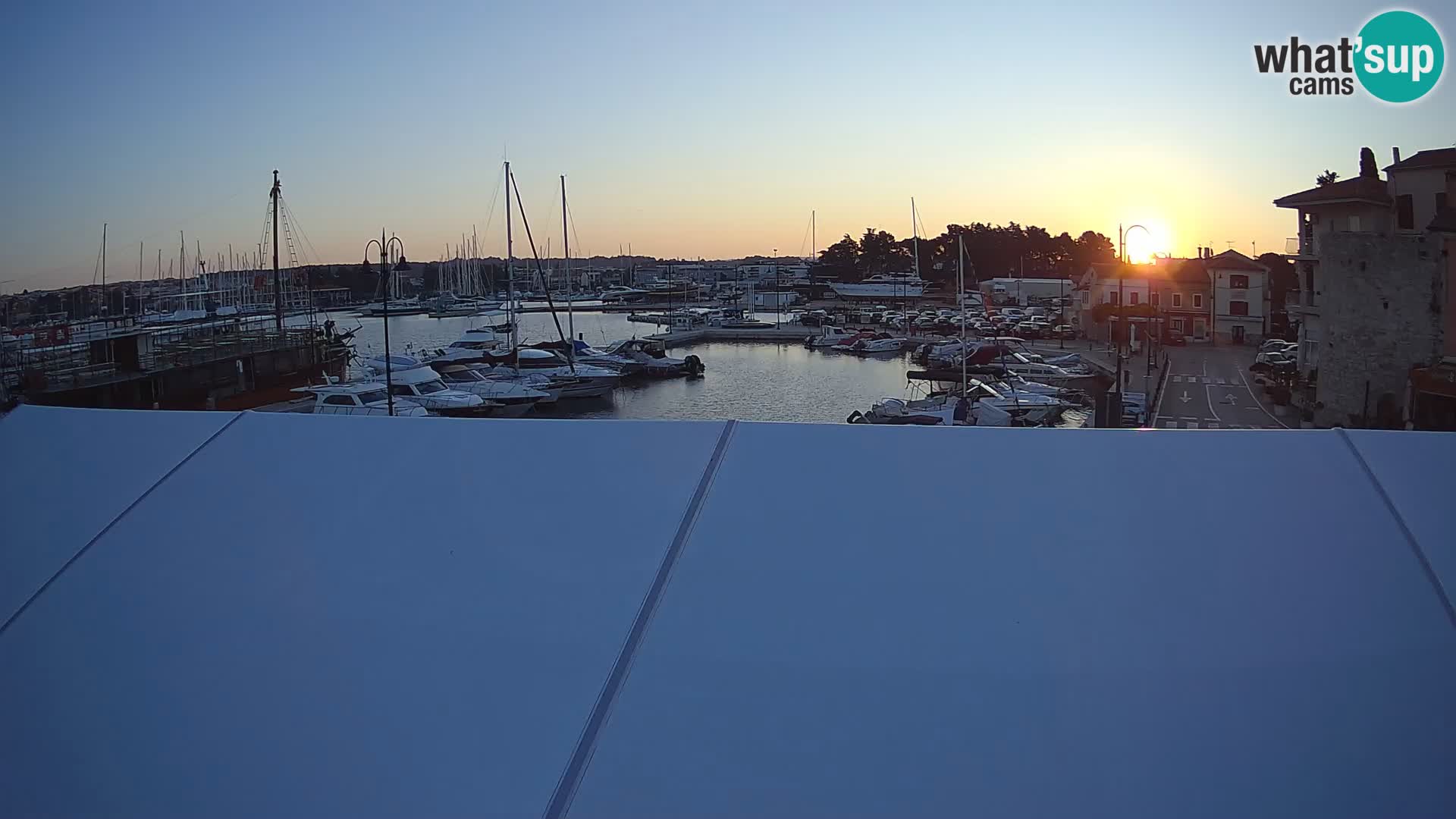 Novigrad | Porporela marina