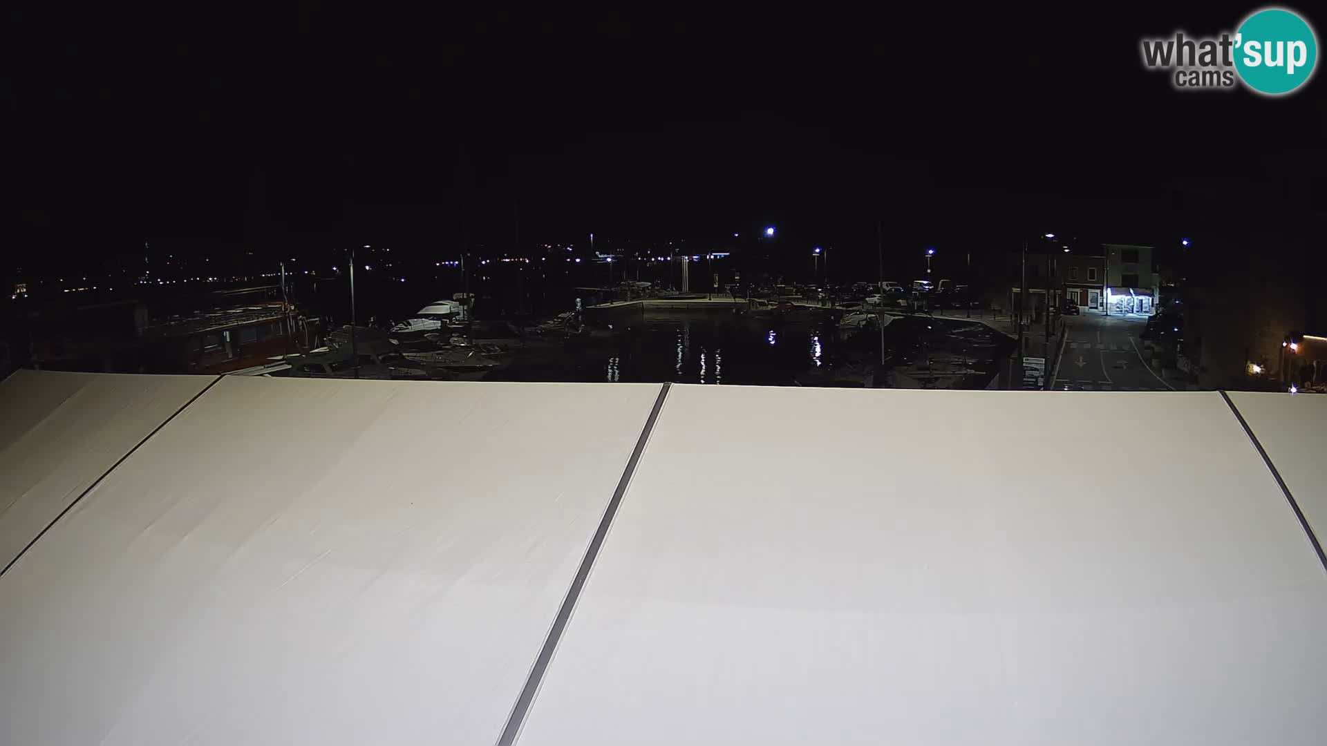 Novigrad | Porporela marina