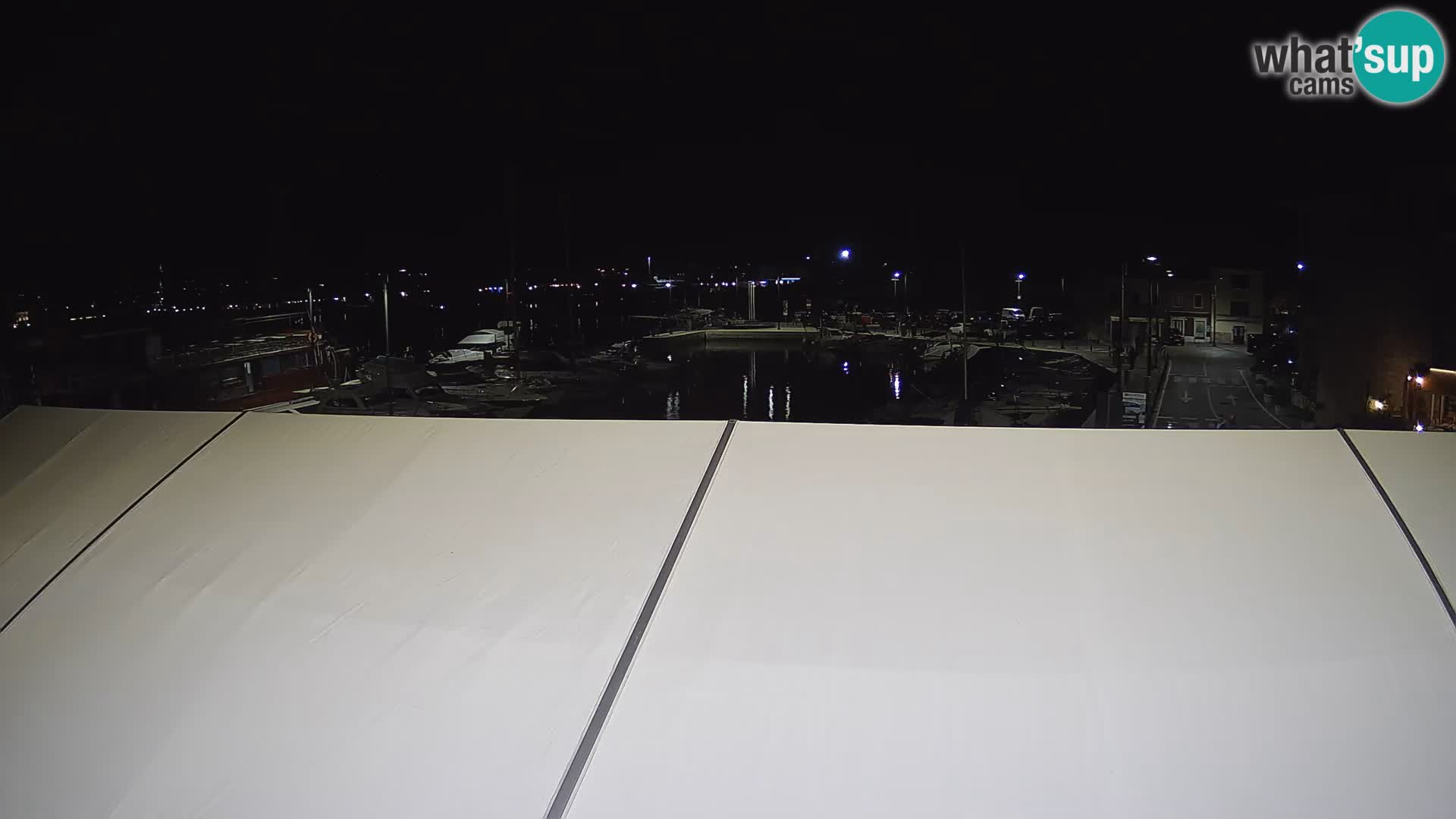 Novigrad | Porporela marina