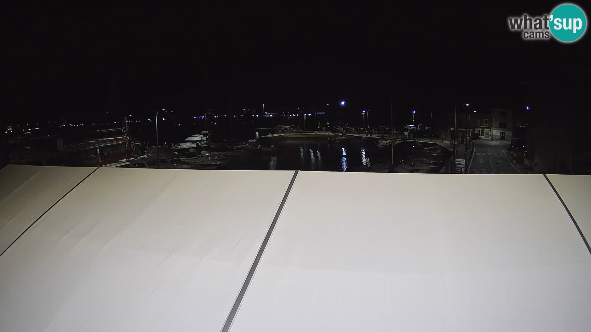 Novigrad | Porporela marina