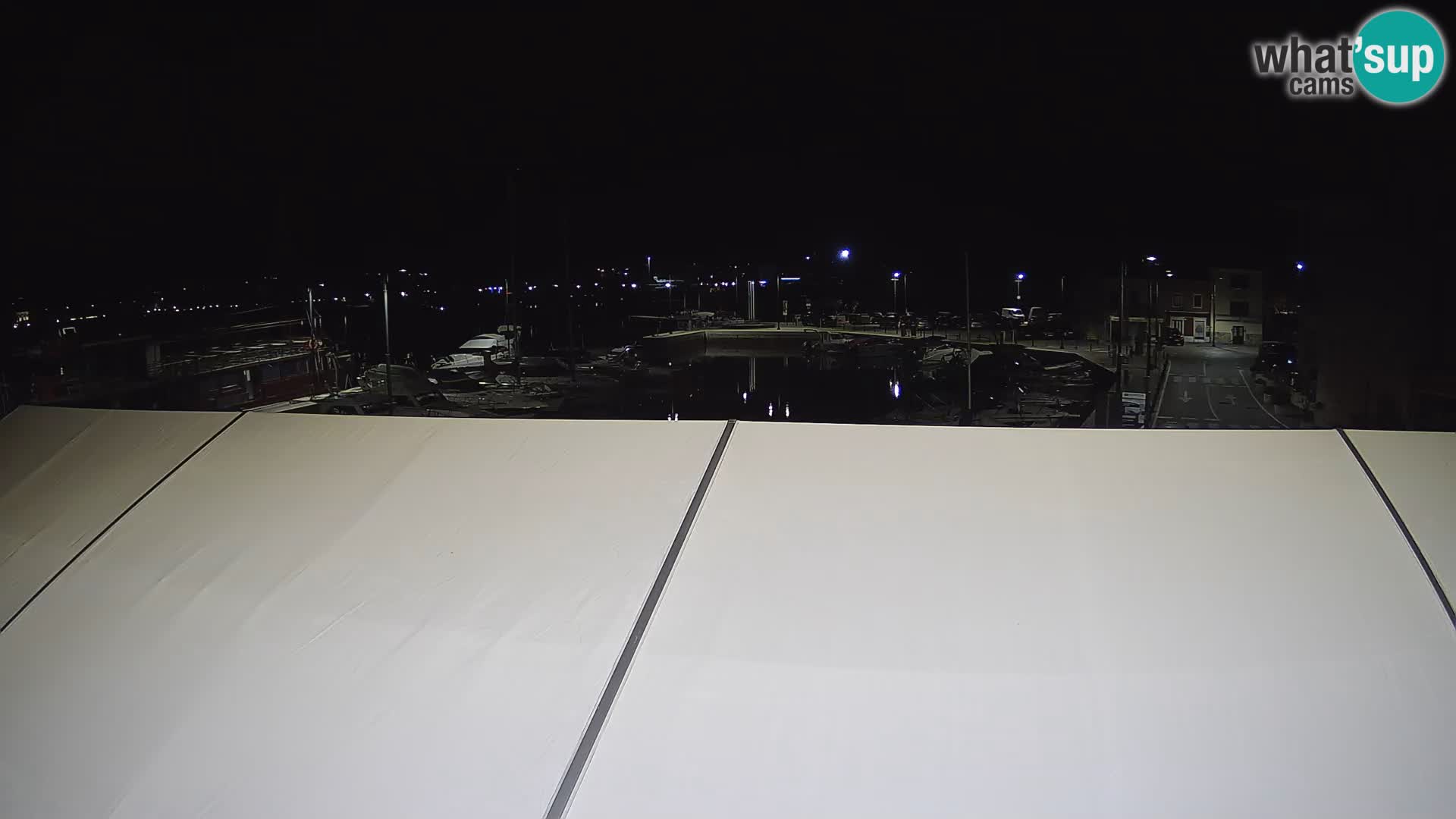 Novigrad | Porporela marina