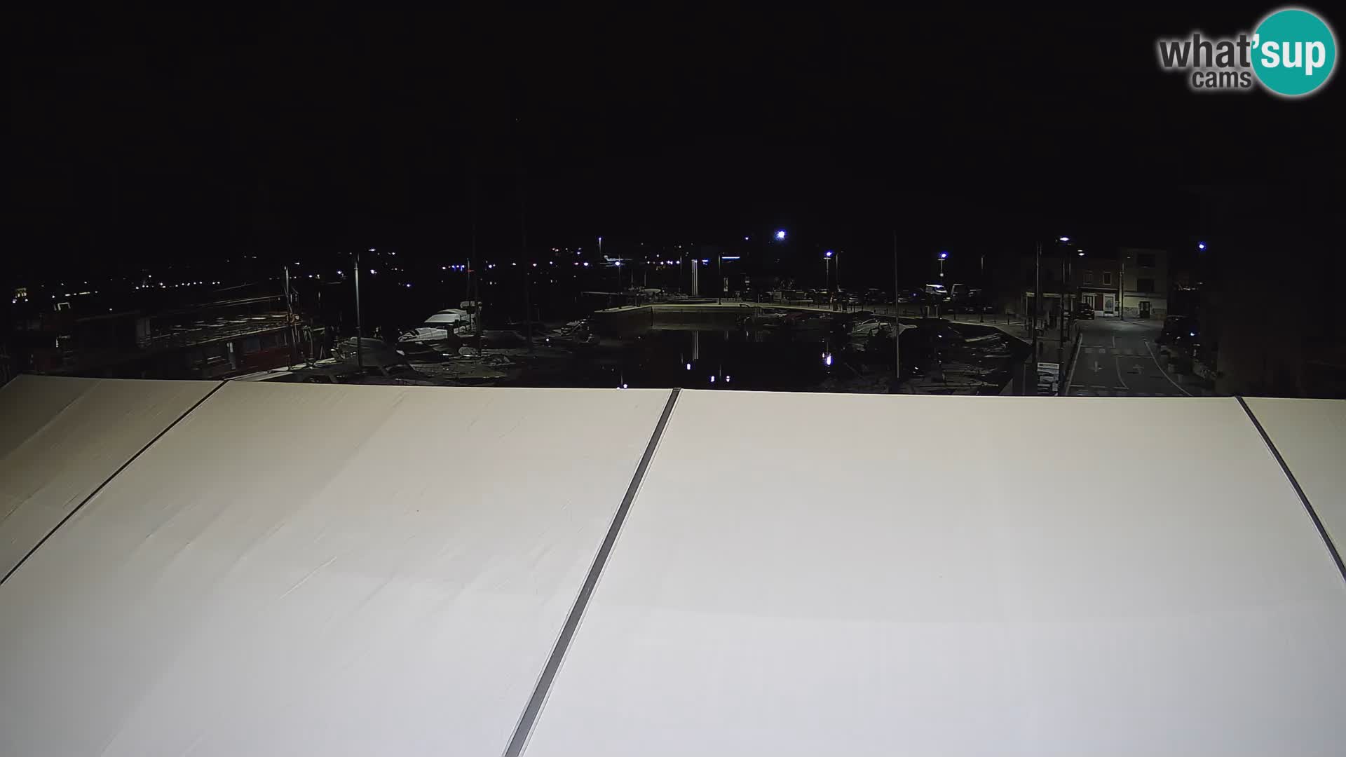 Novigrad | Porporela marina