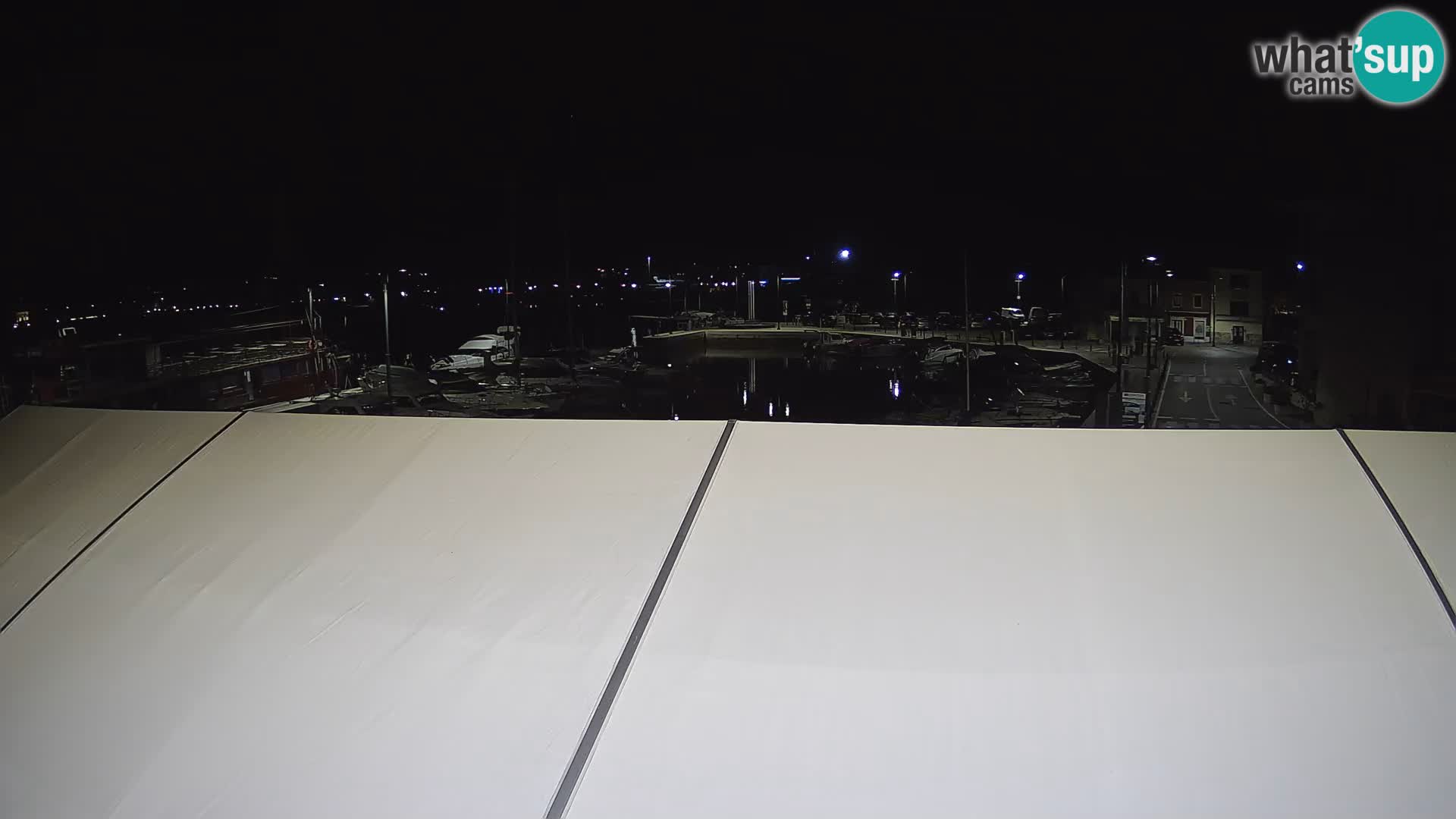 Novigrad | Porporela marina