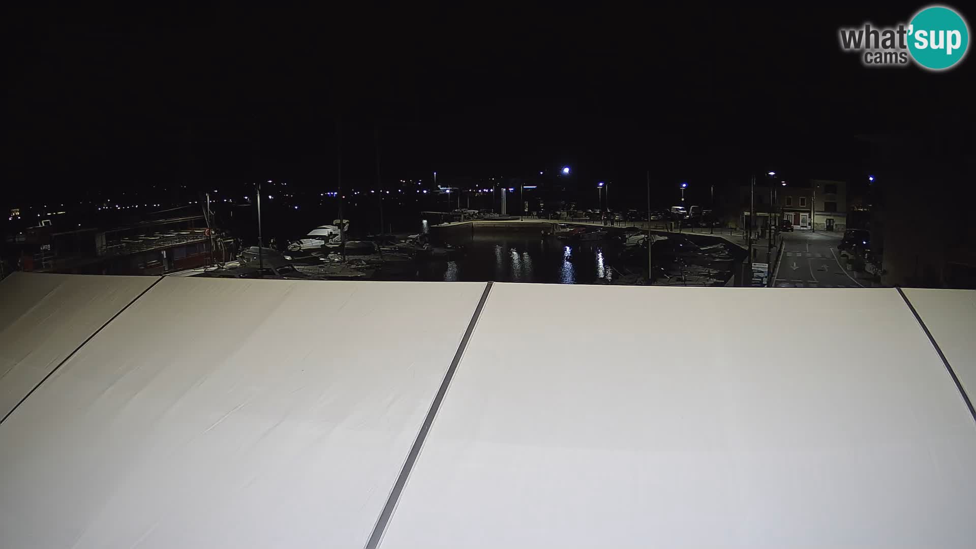 Novigrad | Porporela marina