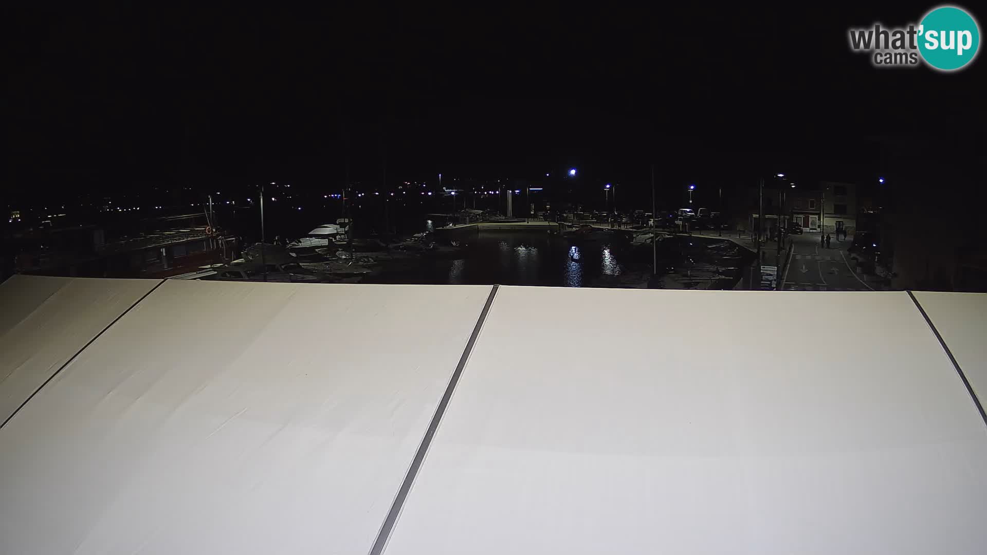 Novigrad | Porporela marina