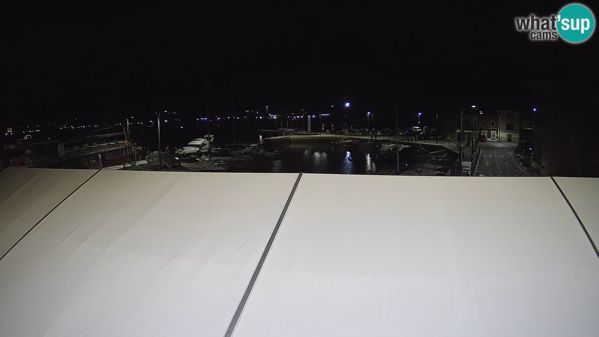 Novigrad | Porporela marina