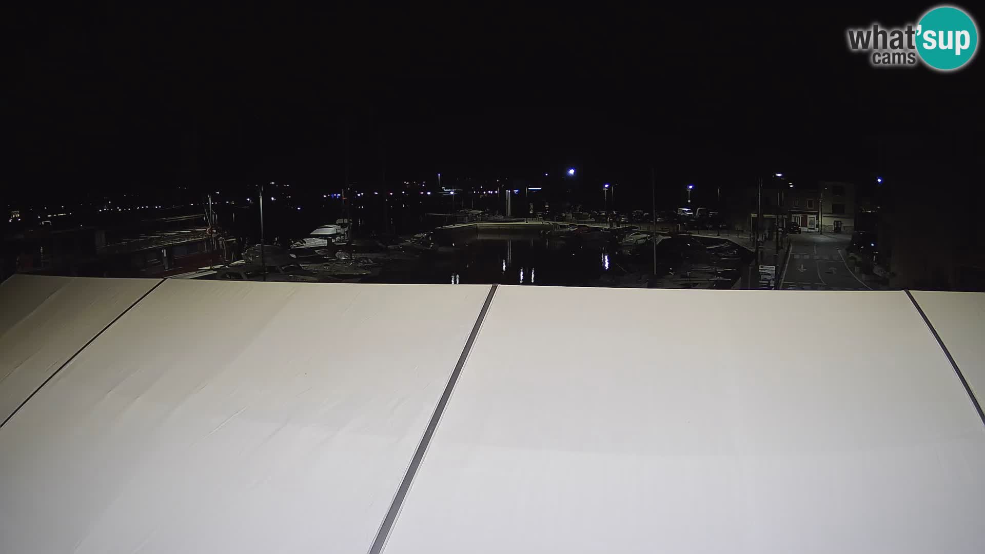 Novigrad | Porporela marina
