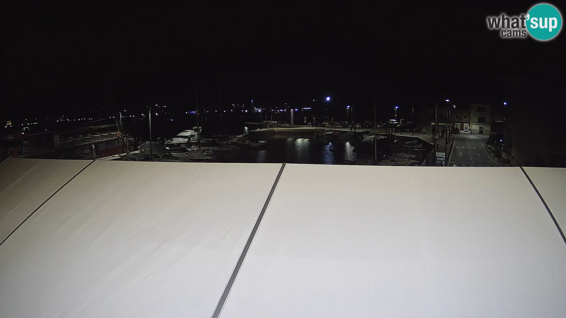 Novigrad | Porporela marina