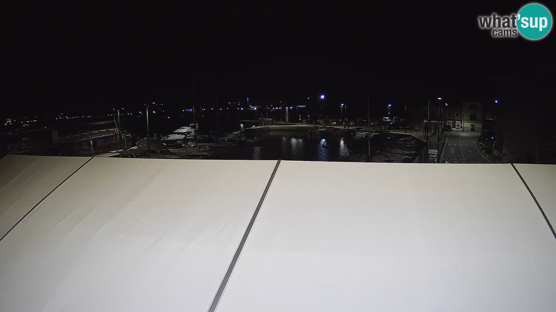 Novigrad | Porporela marina