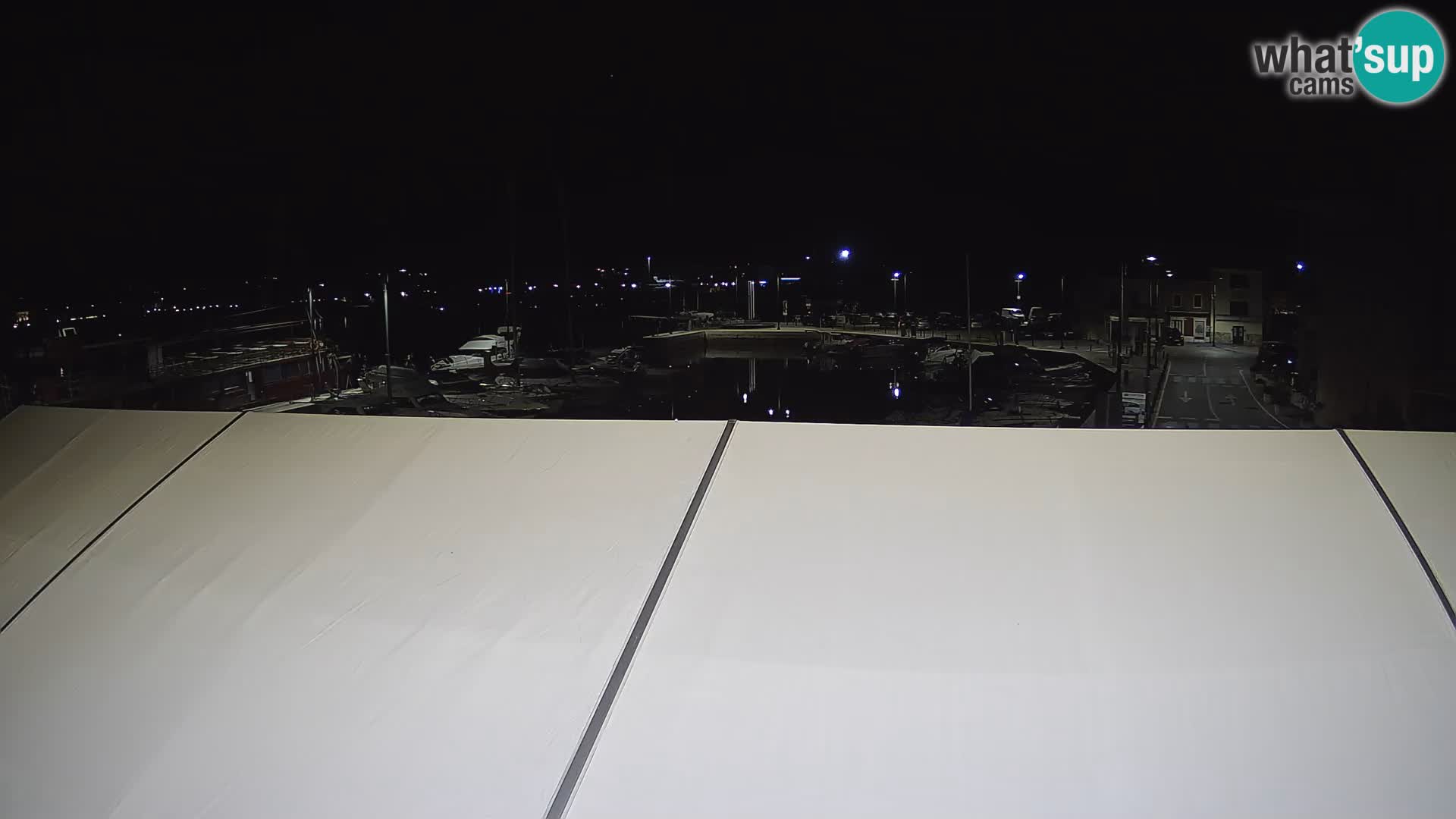 Novigrad | Porporela marina