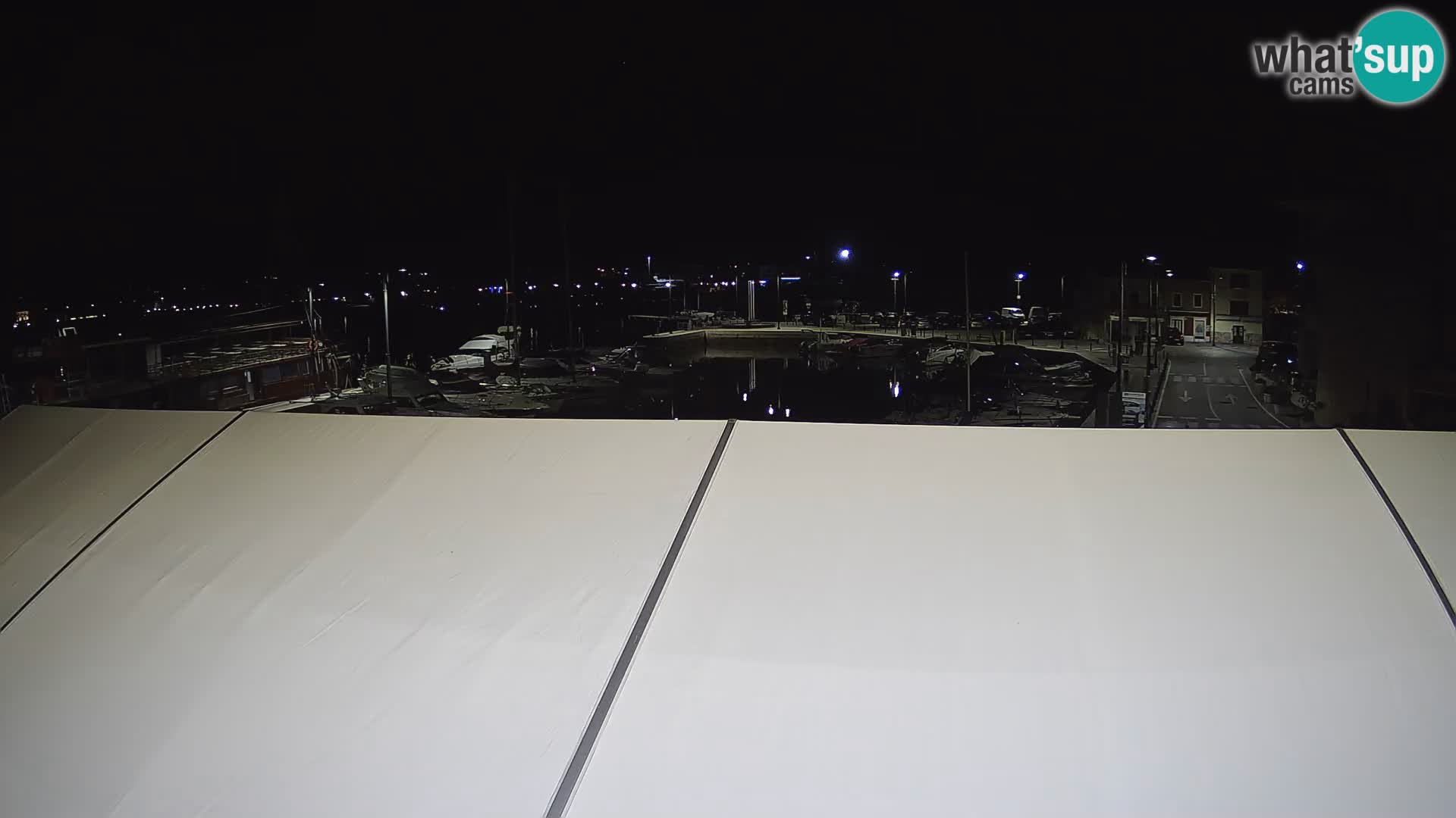 Novigrad | Porporela marina