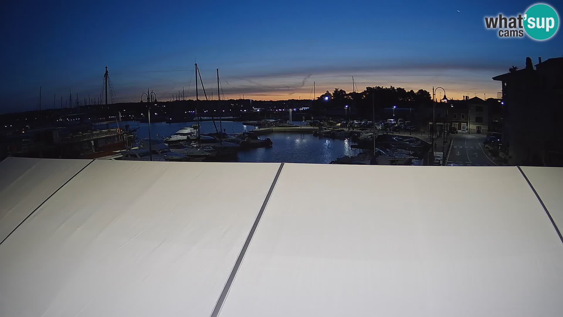 Novigrad | Porporela marina