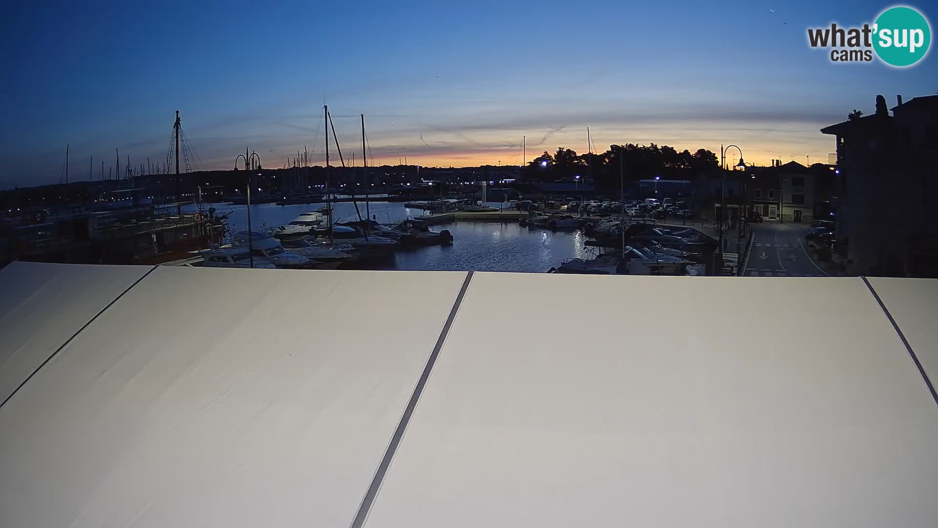 Novigrad | Porporela marina