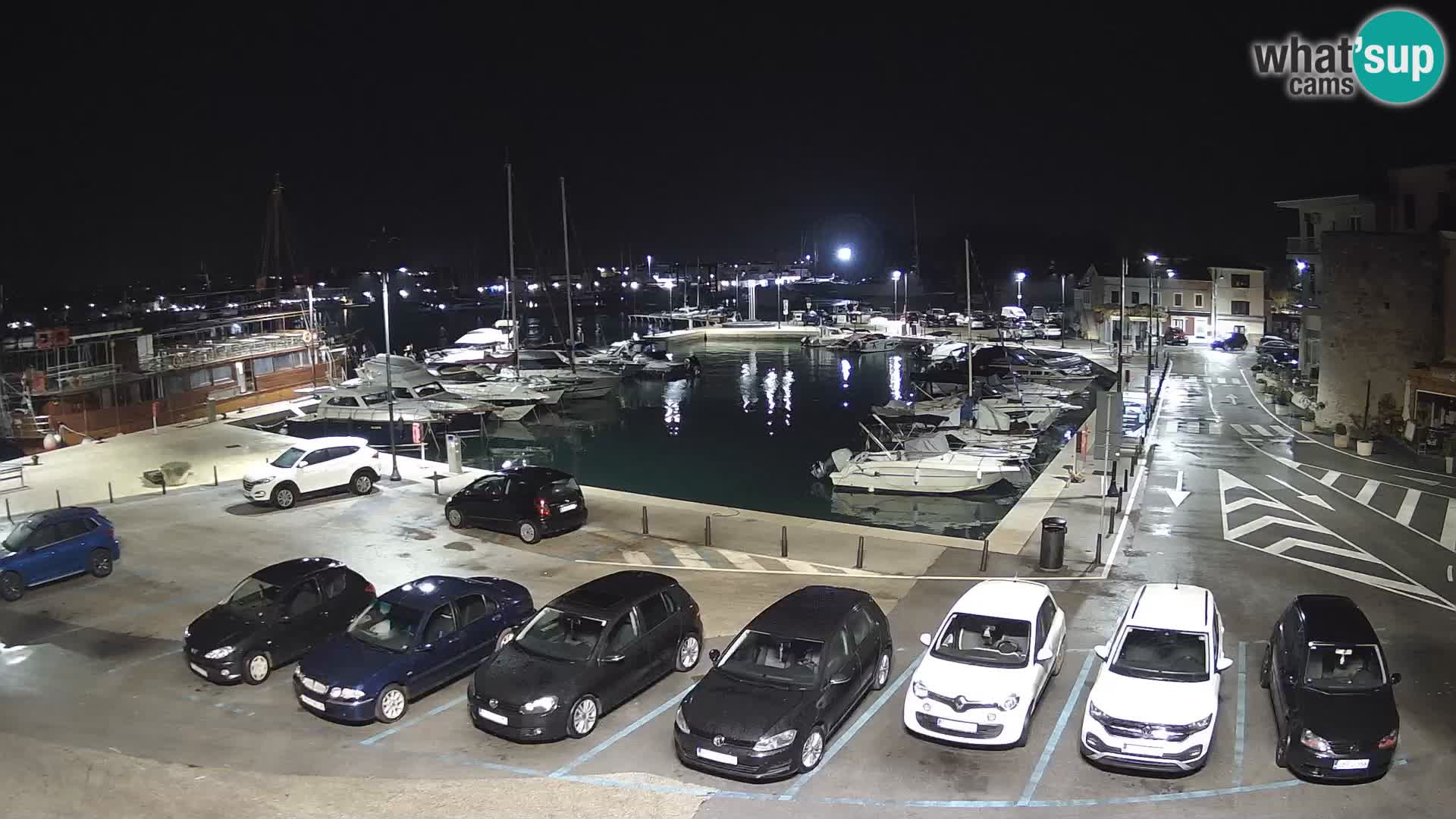Novigrad | Porporela marina