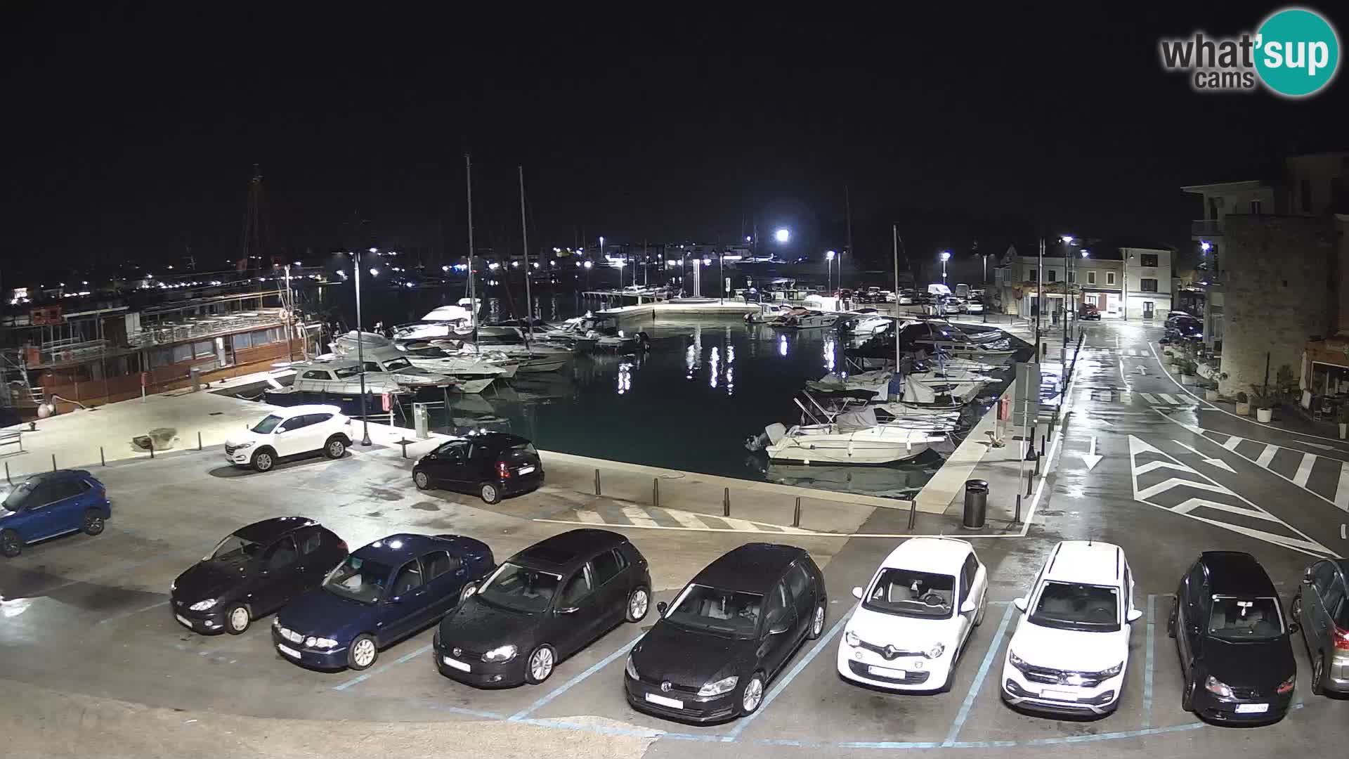 Novigrad | Porporela marina