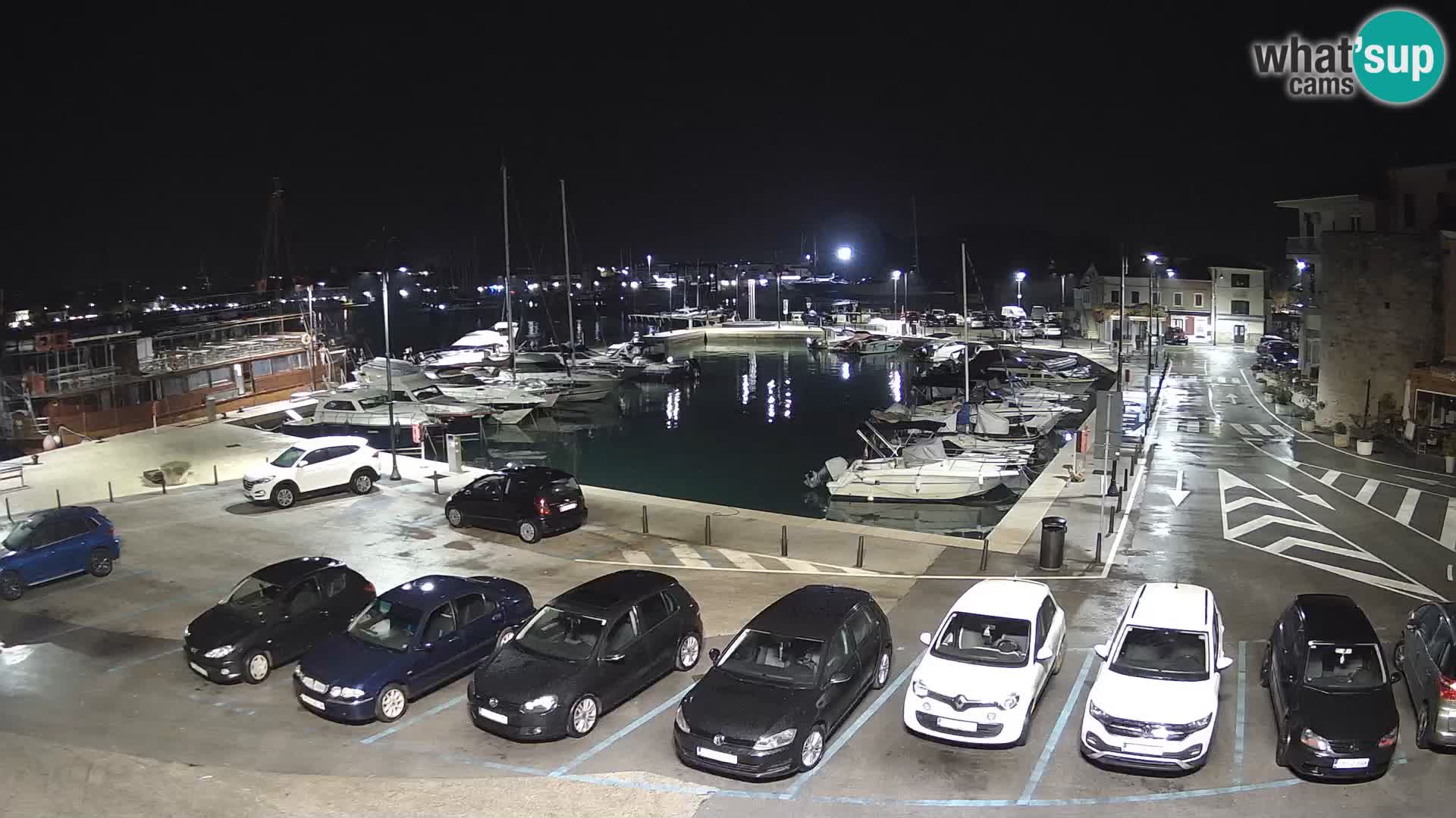 Novigrad | Porporela marina