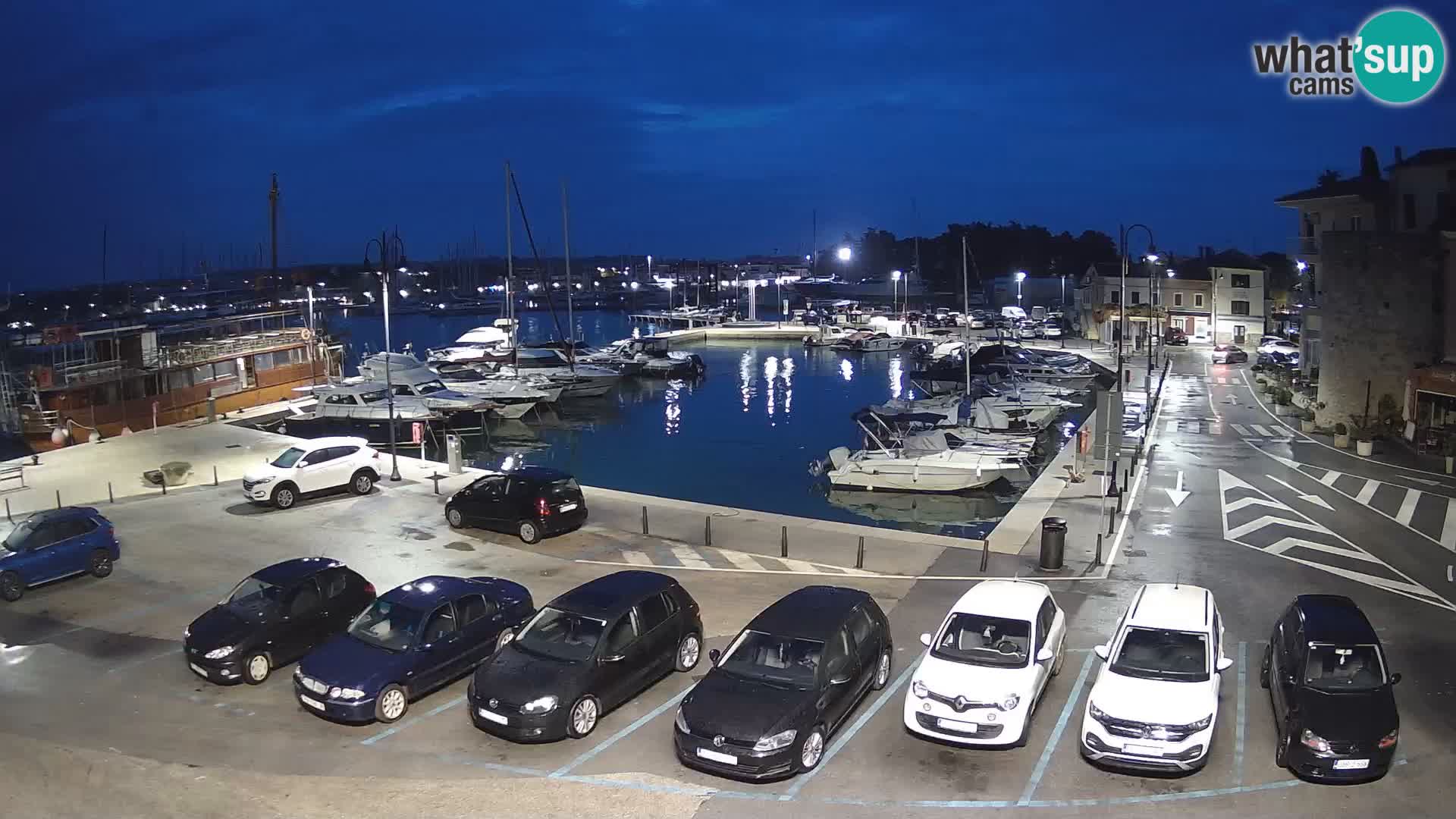 Novigrad | Porporela marina