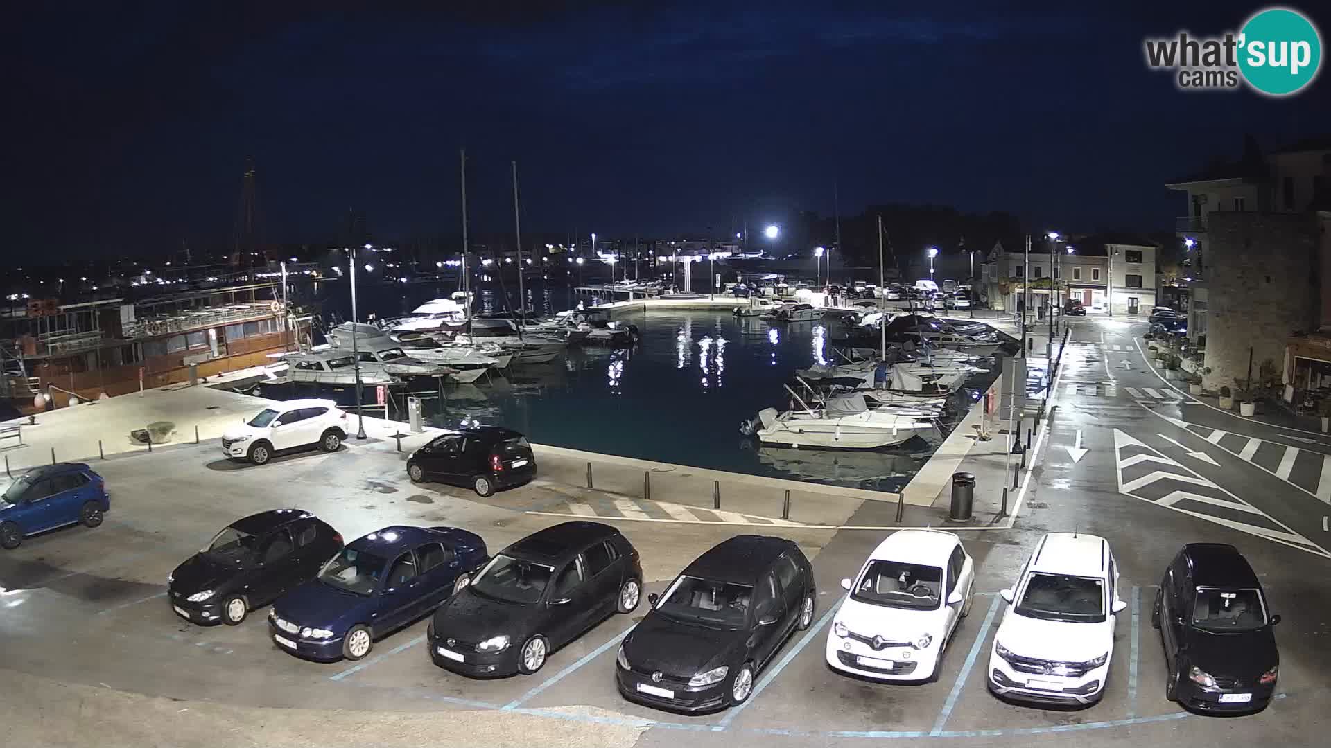 Novigrad | Porporela marina