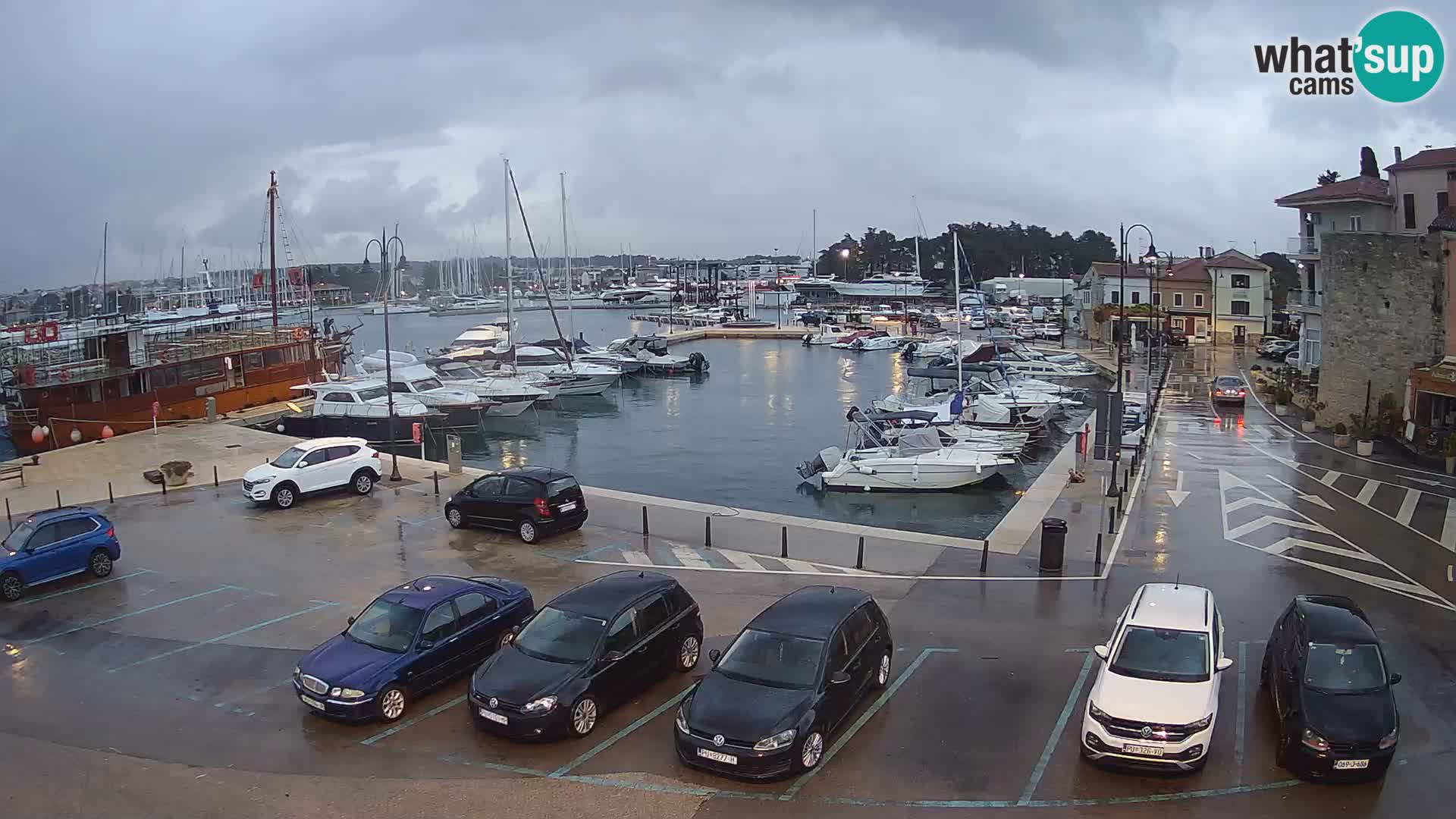 Novigrad | Porporela marina