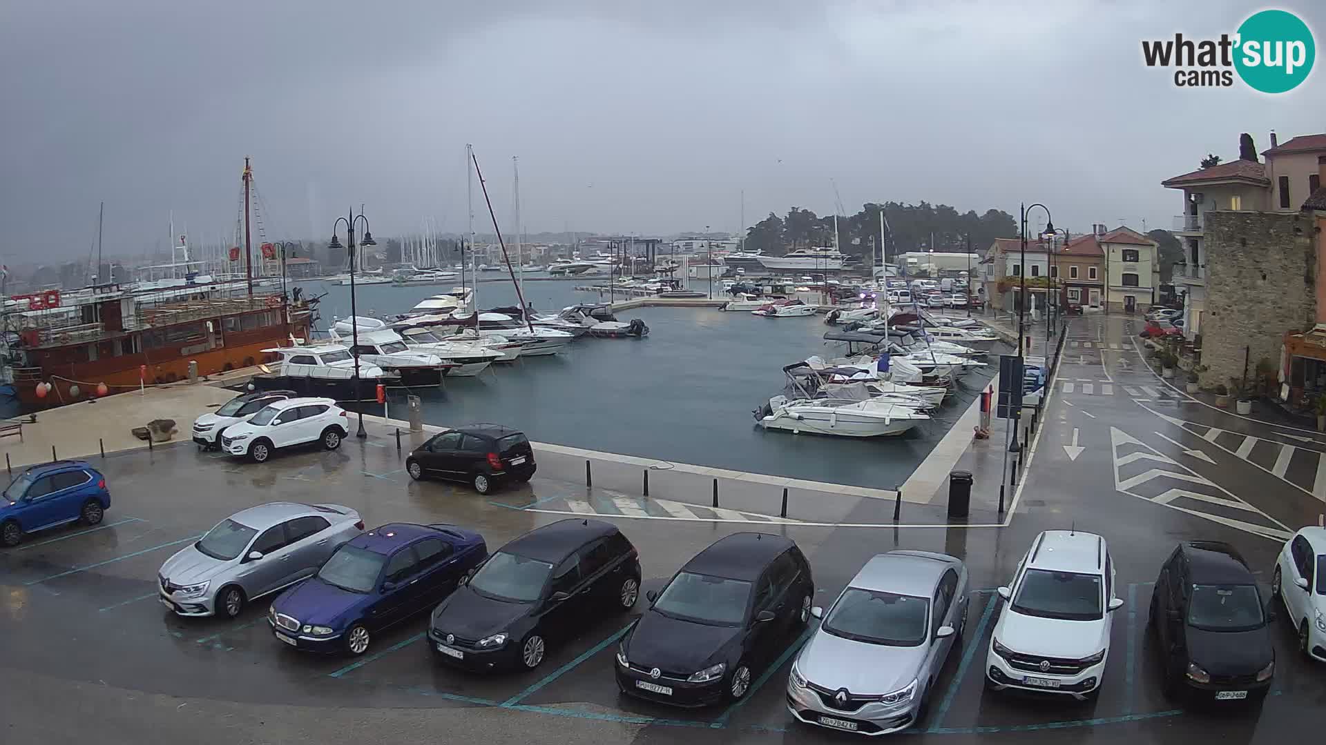 Novigrad | Porporela marina