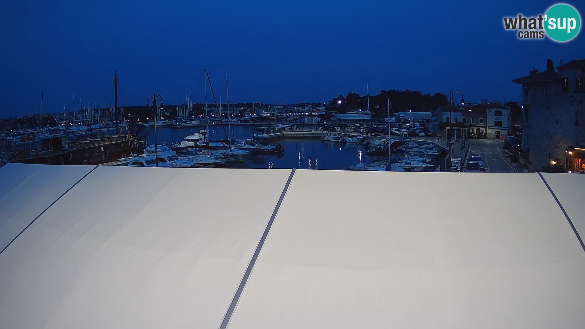 Novigrad | Porporela marina