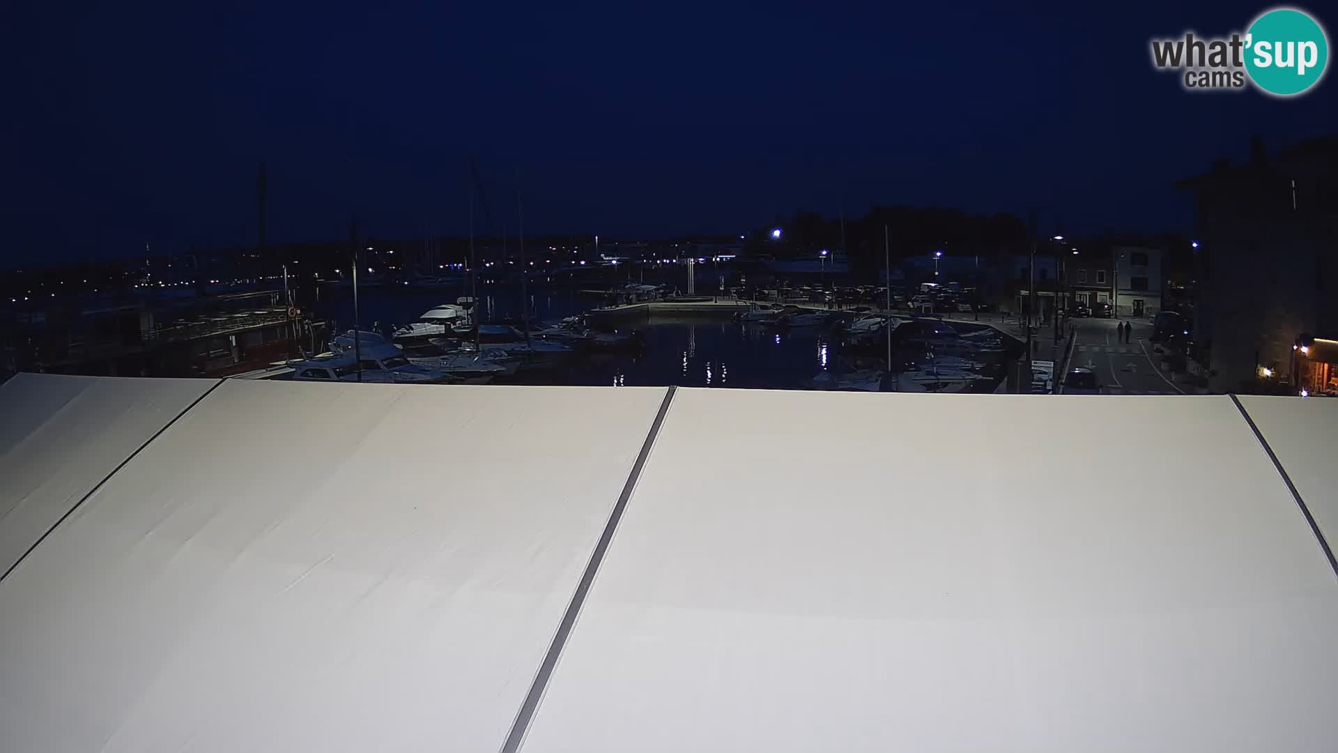 Novigrad | Porporela marina