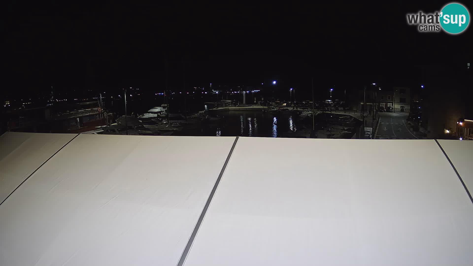 Novigrad | Porporela marina