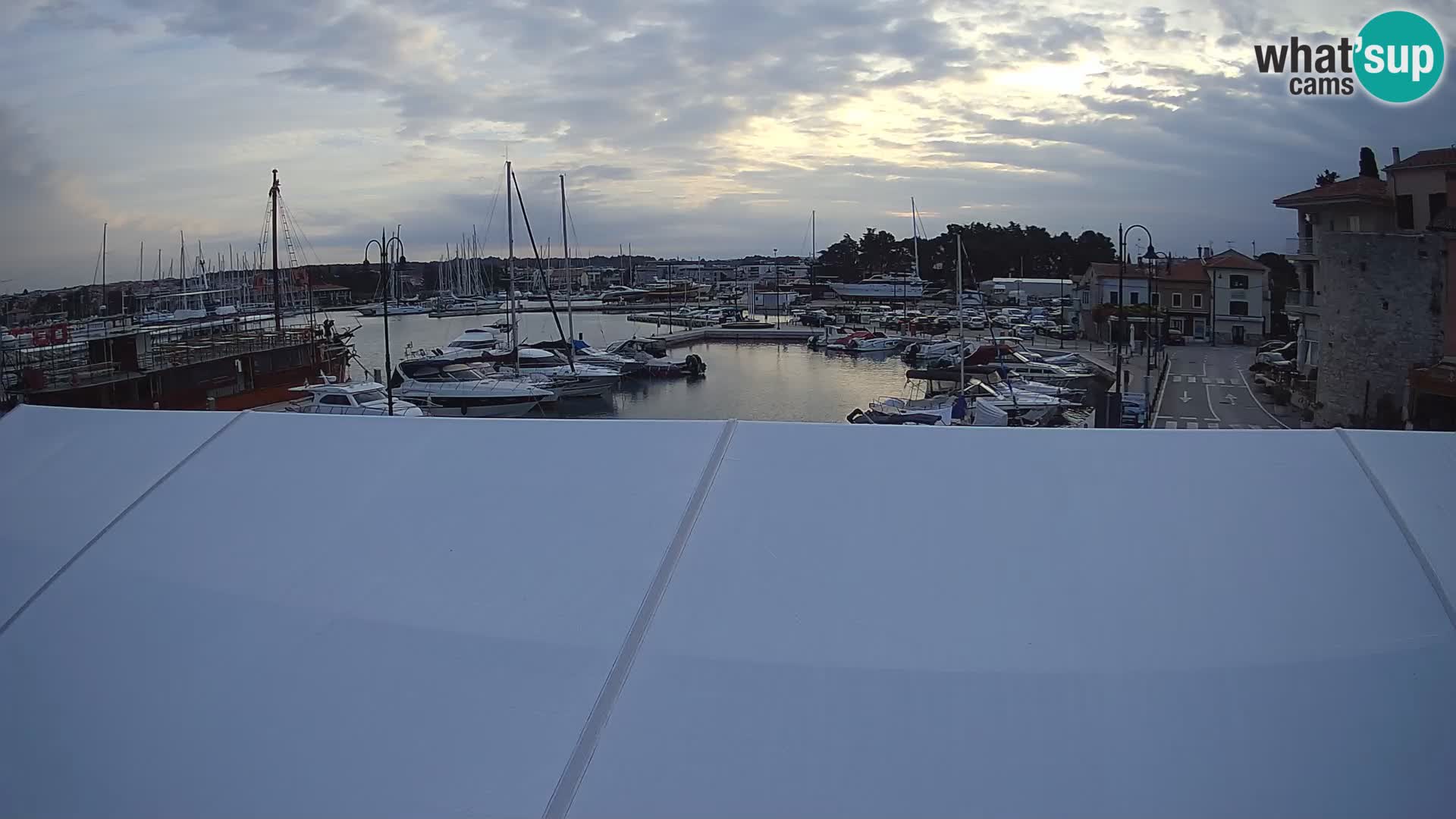 Novigrad | Porporela marina