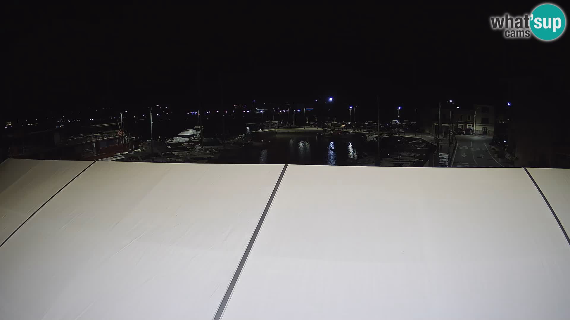 Novigrad | Porporela marina