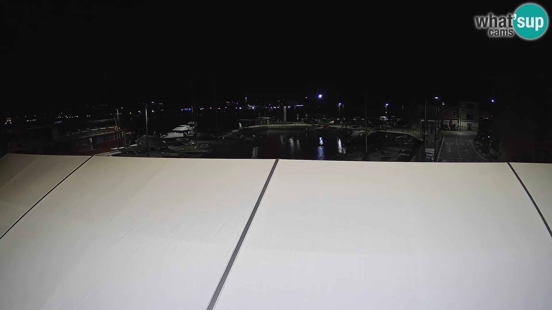 Novigrad | Porporela marina