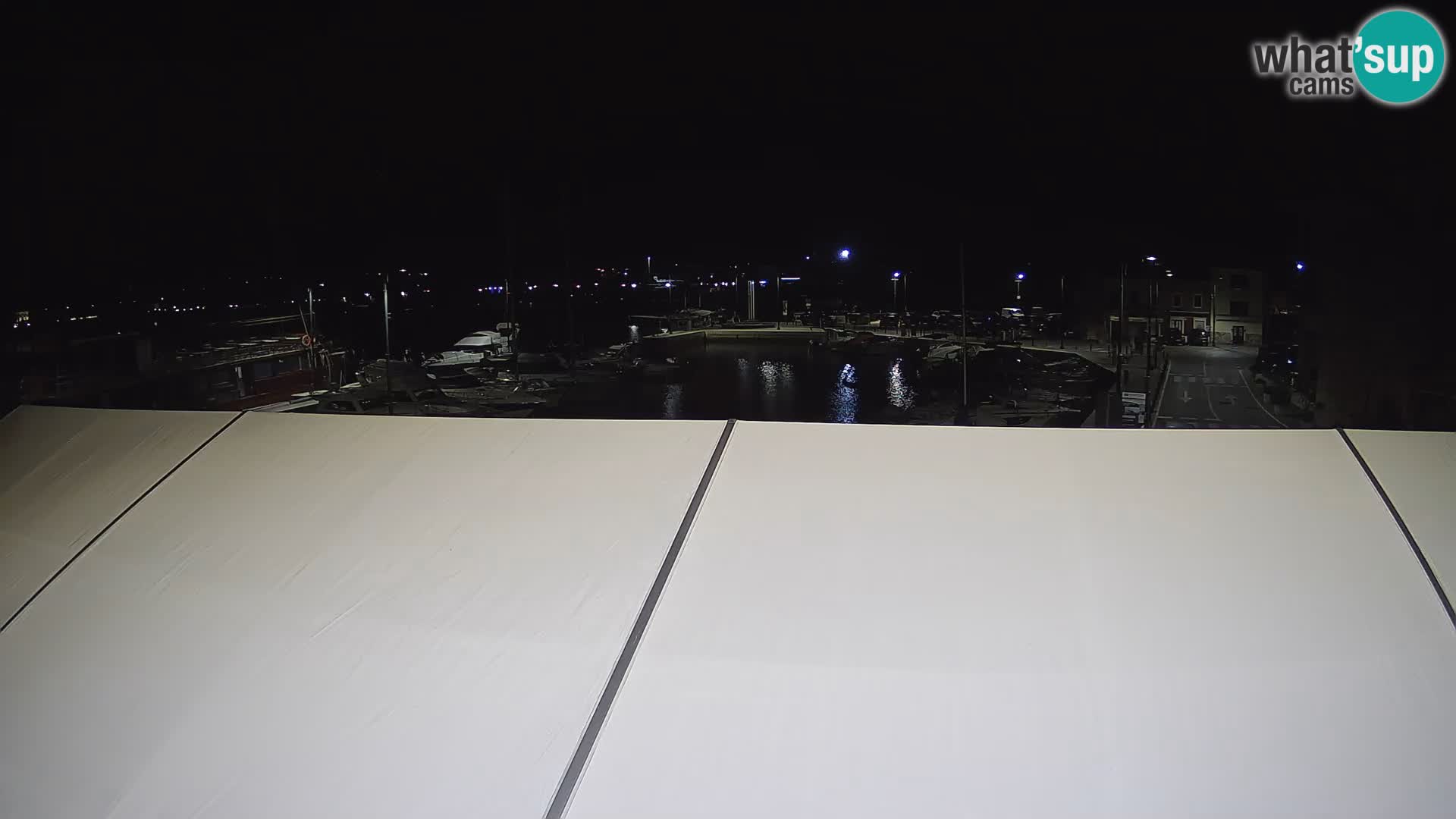 Novigrad | Porporela marina