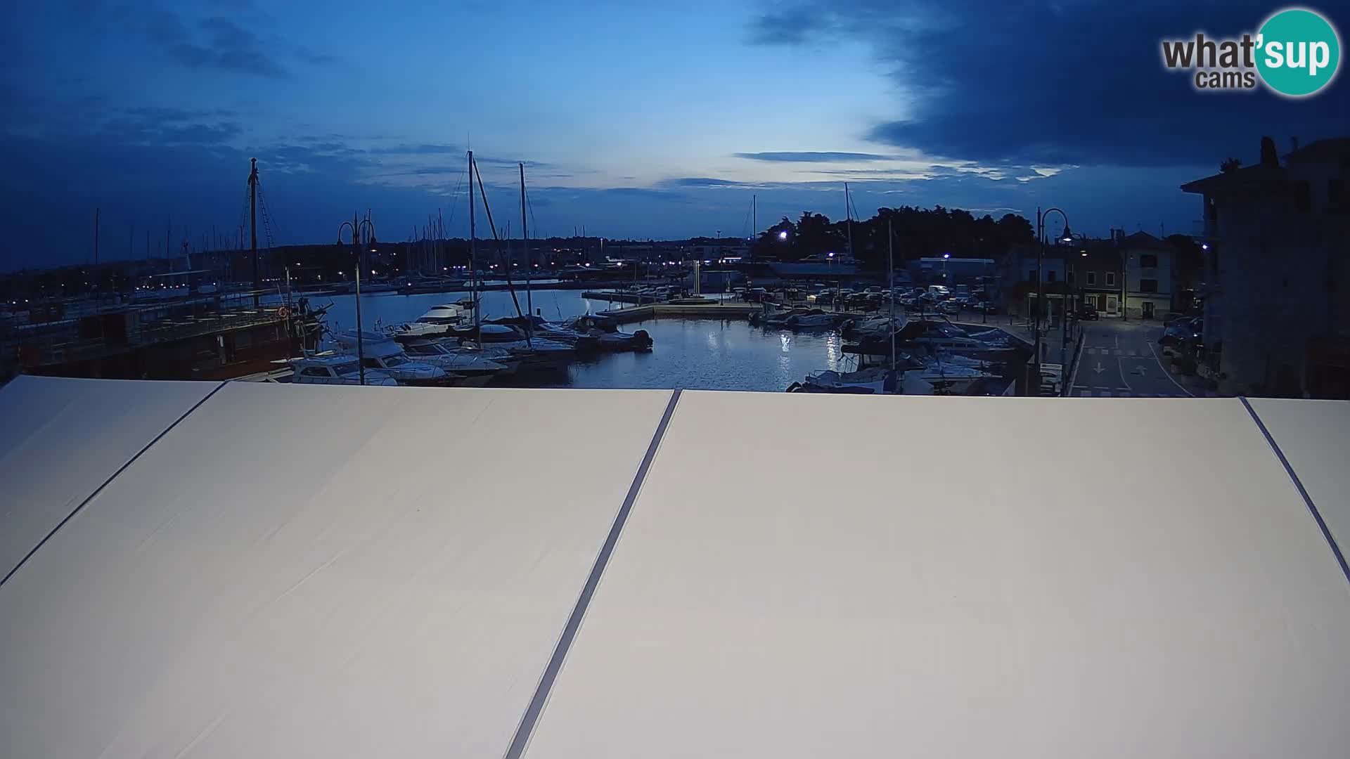 Novigrad | Porporela marina