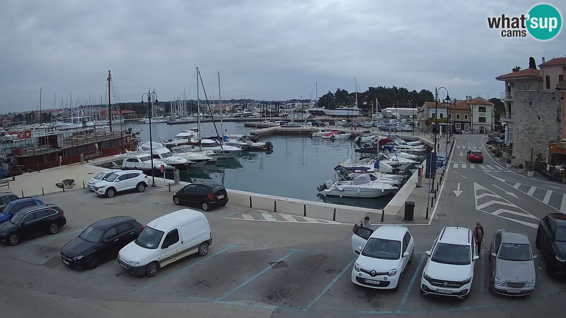 Novigrad | Porporela marina