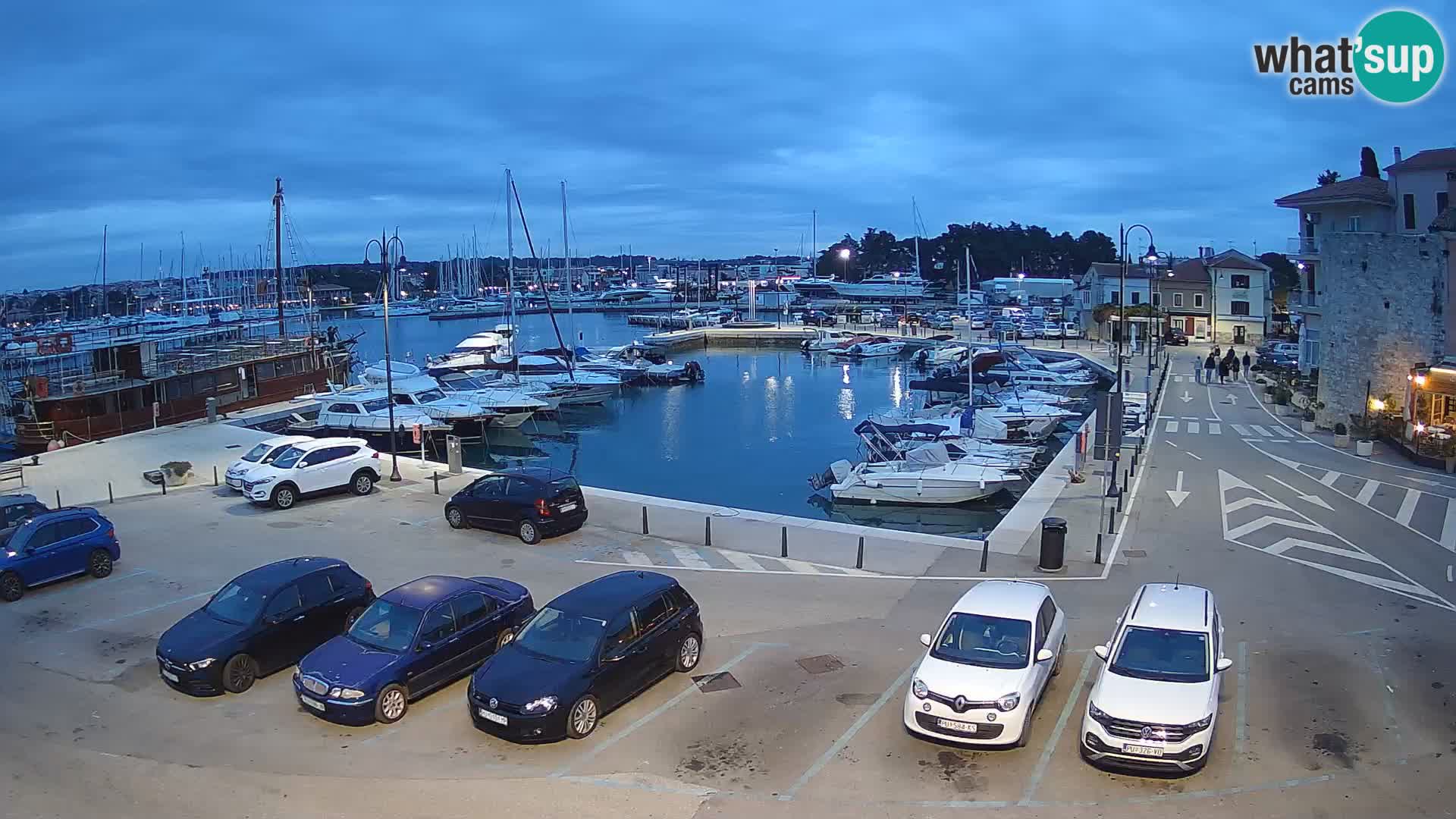 Novigrad | Porporela marina