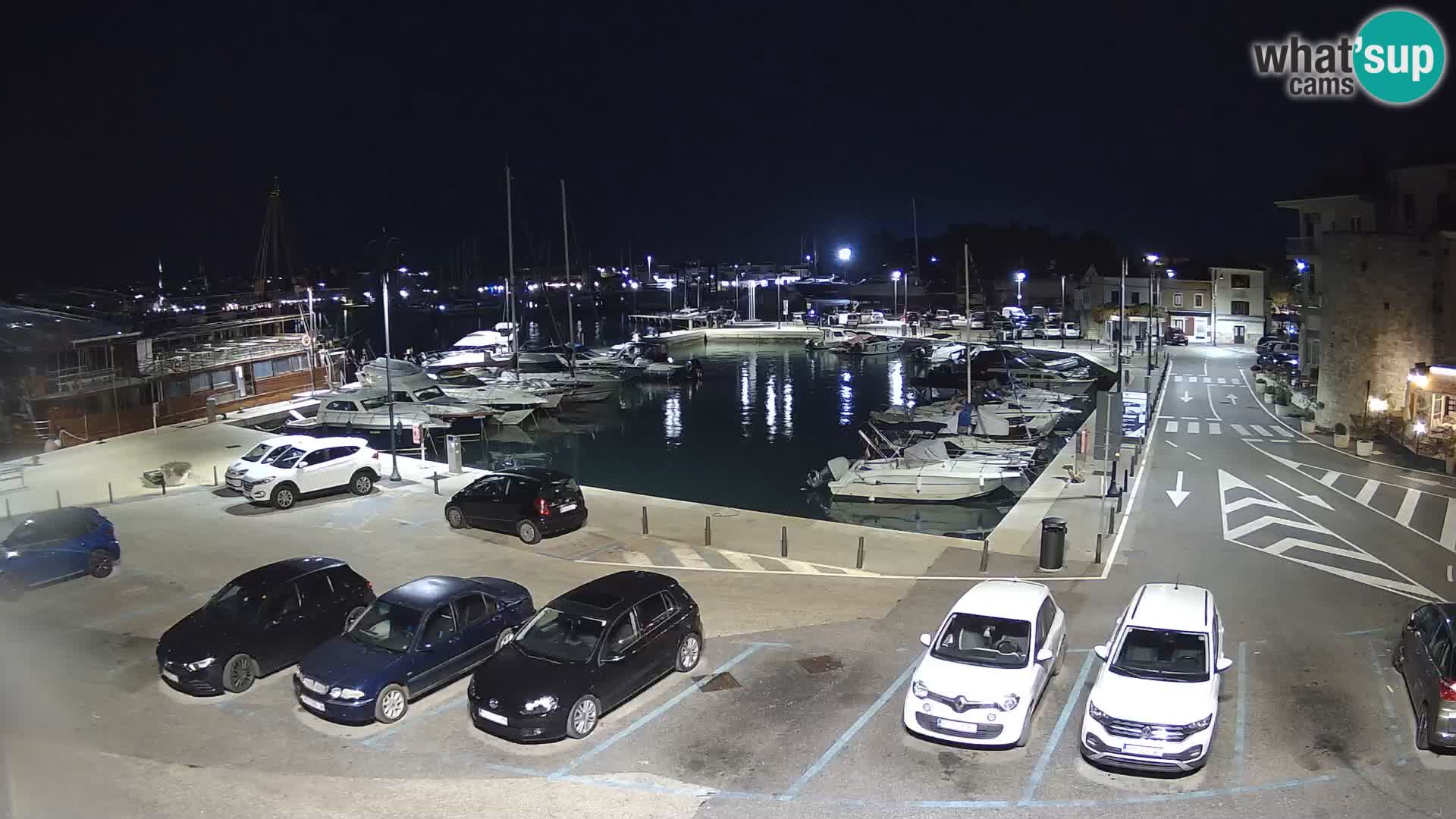 Novigrad | Porporela marina